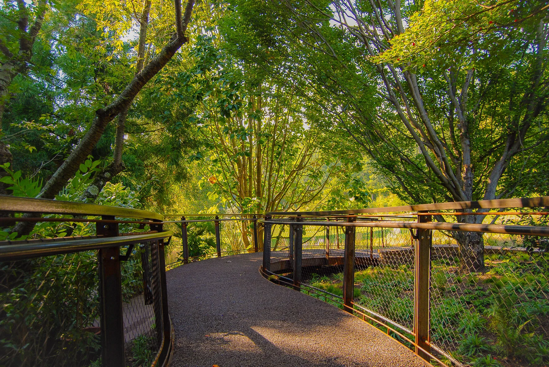 Chanticleer_DSC_0282.jpg