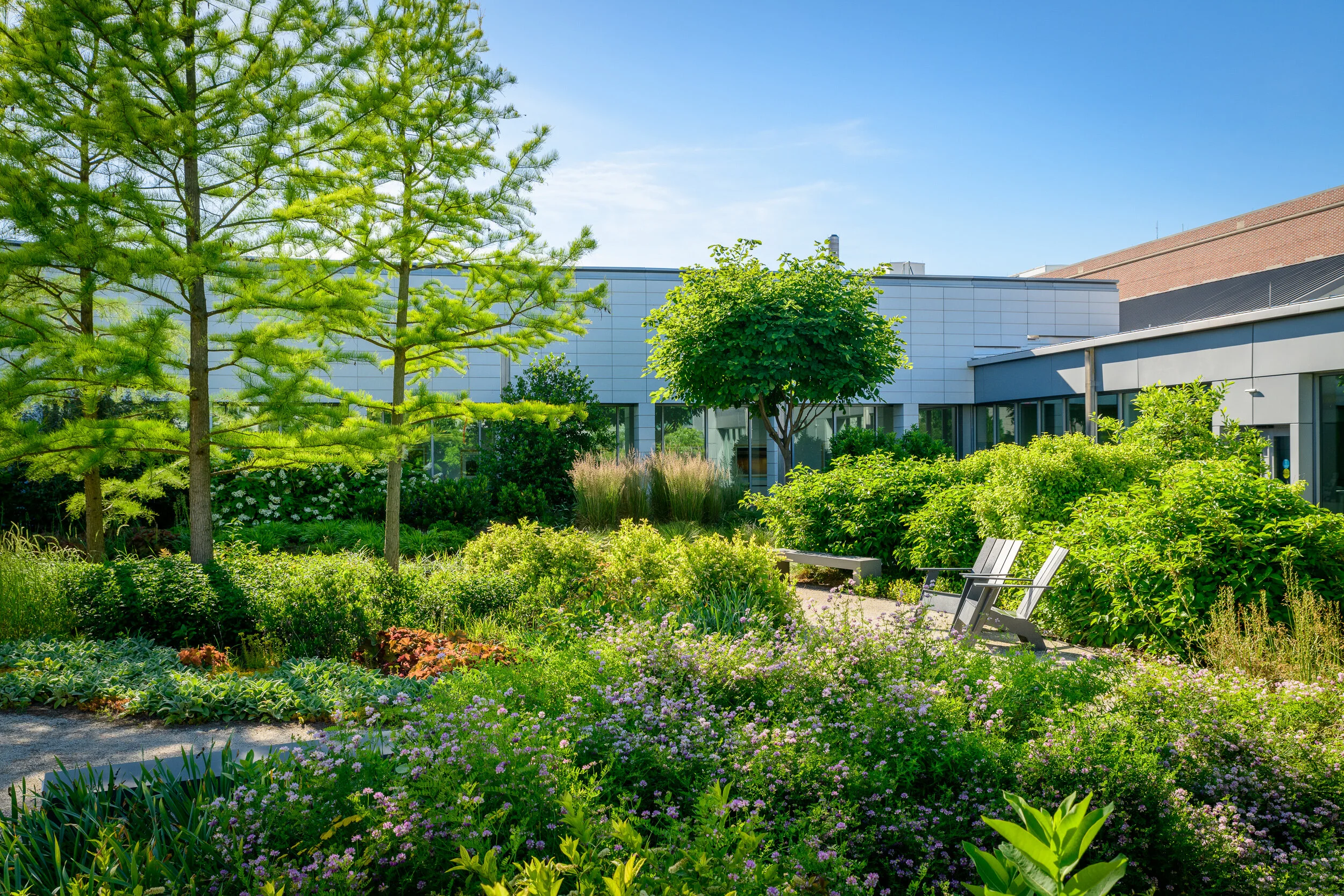 Courtyard 2.jpg