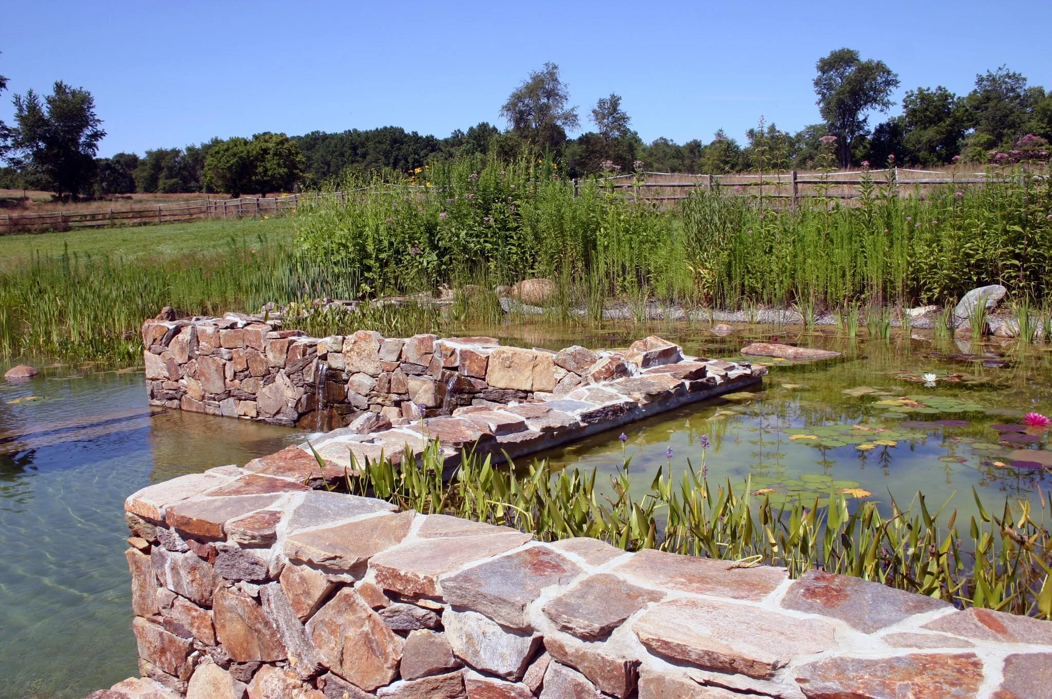 NATURAL SWIMMING POOL — JONATHAN ALDERSON LANDSCAPE ARCHITECTS