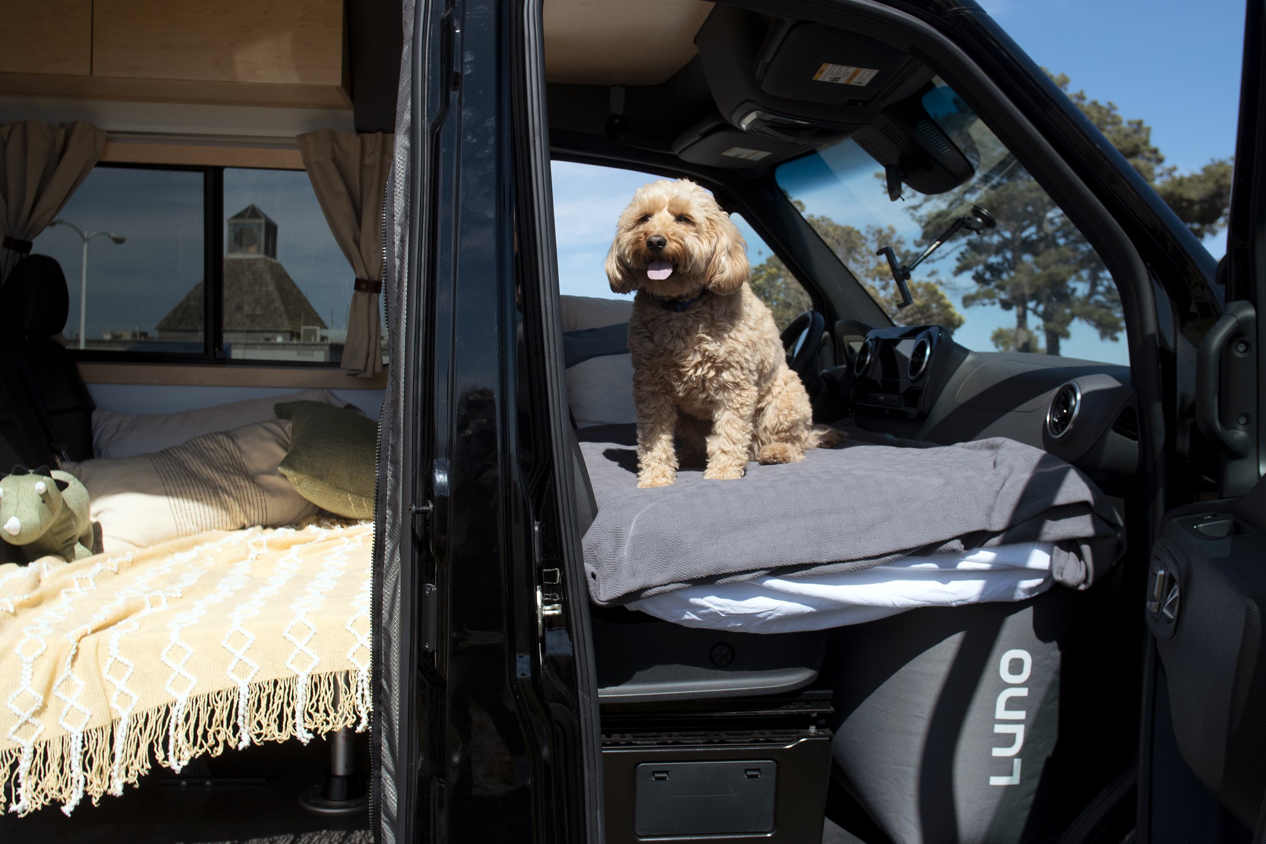 Vanlife with a Dog - Create Your Own Roadshow