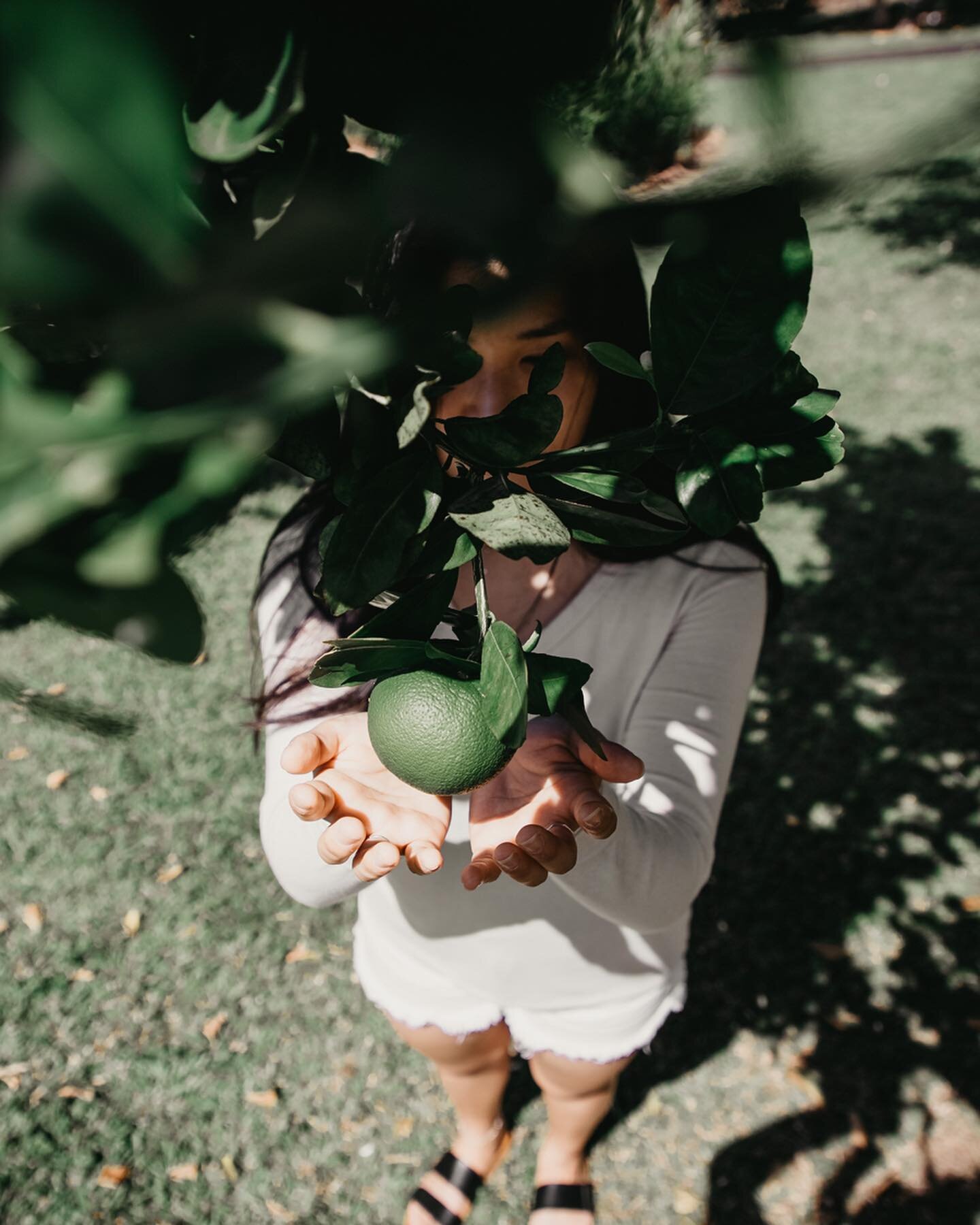 Happy Earth Day! It&rsquo;s always good to take a step back, marvel, and enjoy the amazing home God created for us. 🌎💥 Also brownie points to whoever gets what this fruit is right 🌝
&mdash;
@canonusa 6D Mark II
@canonusa 24-105mm f/4