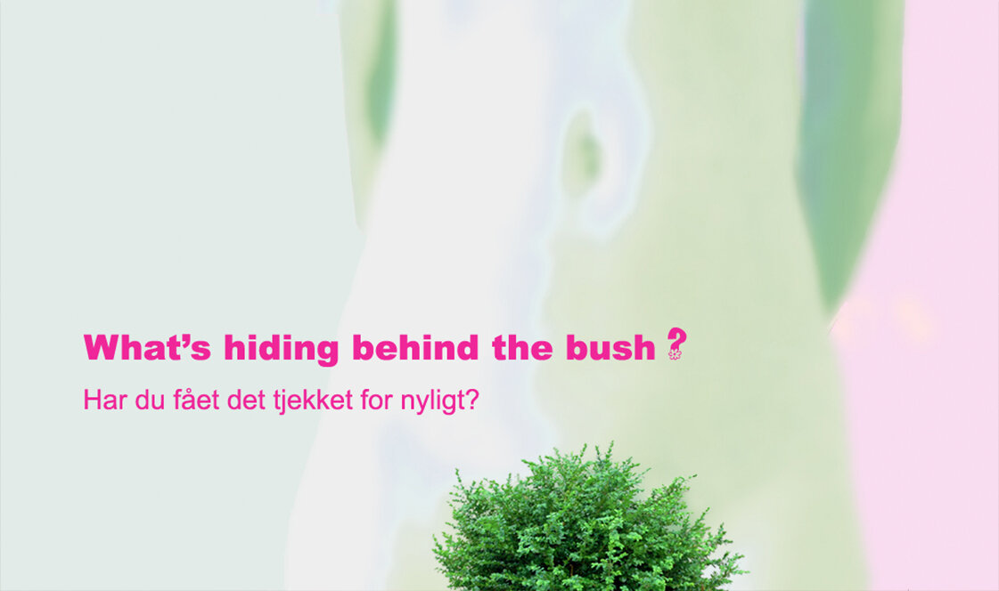 whats_hiding_behind_the_bush.jpg