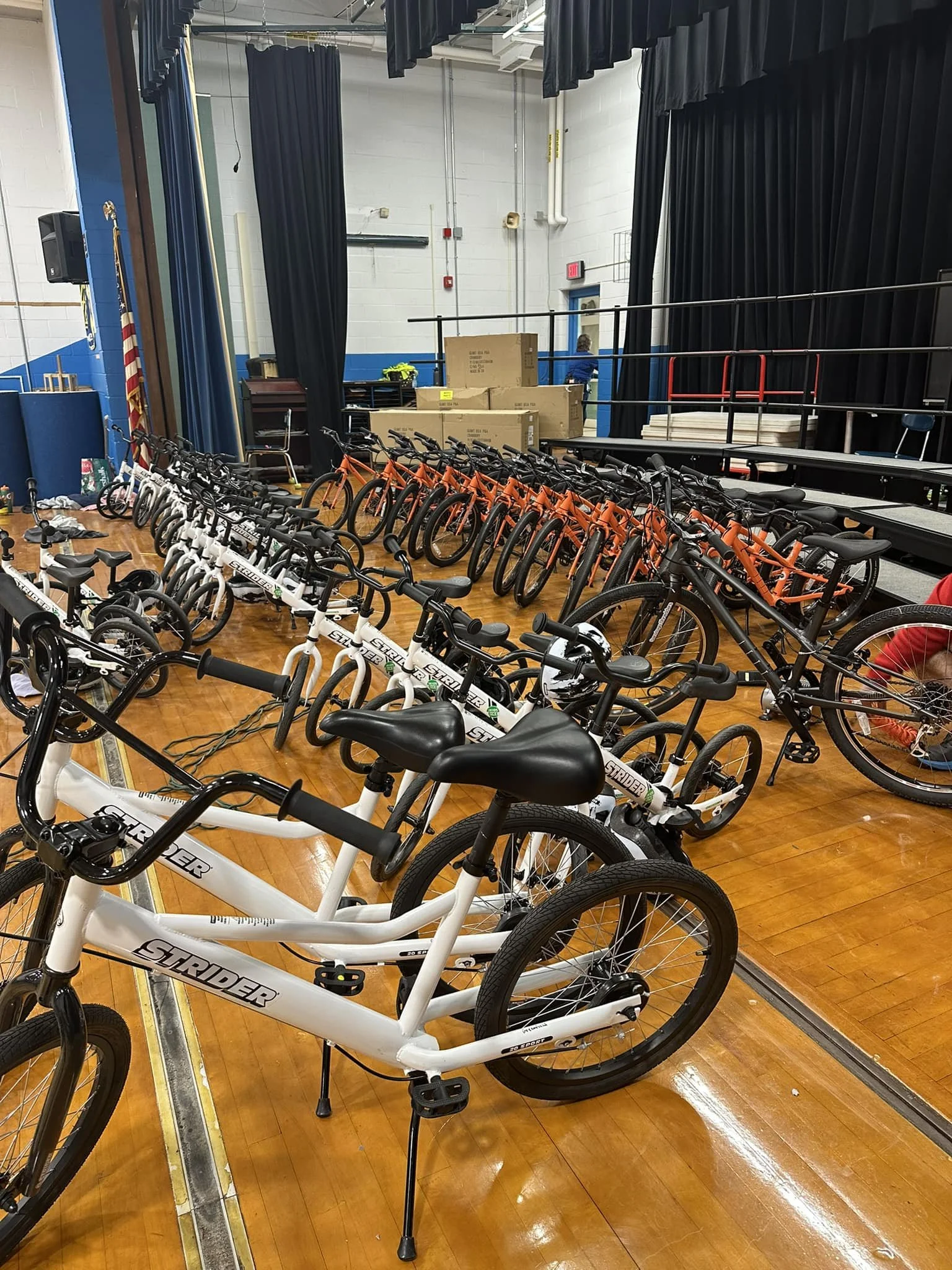 Elementary Fleet.jpg