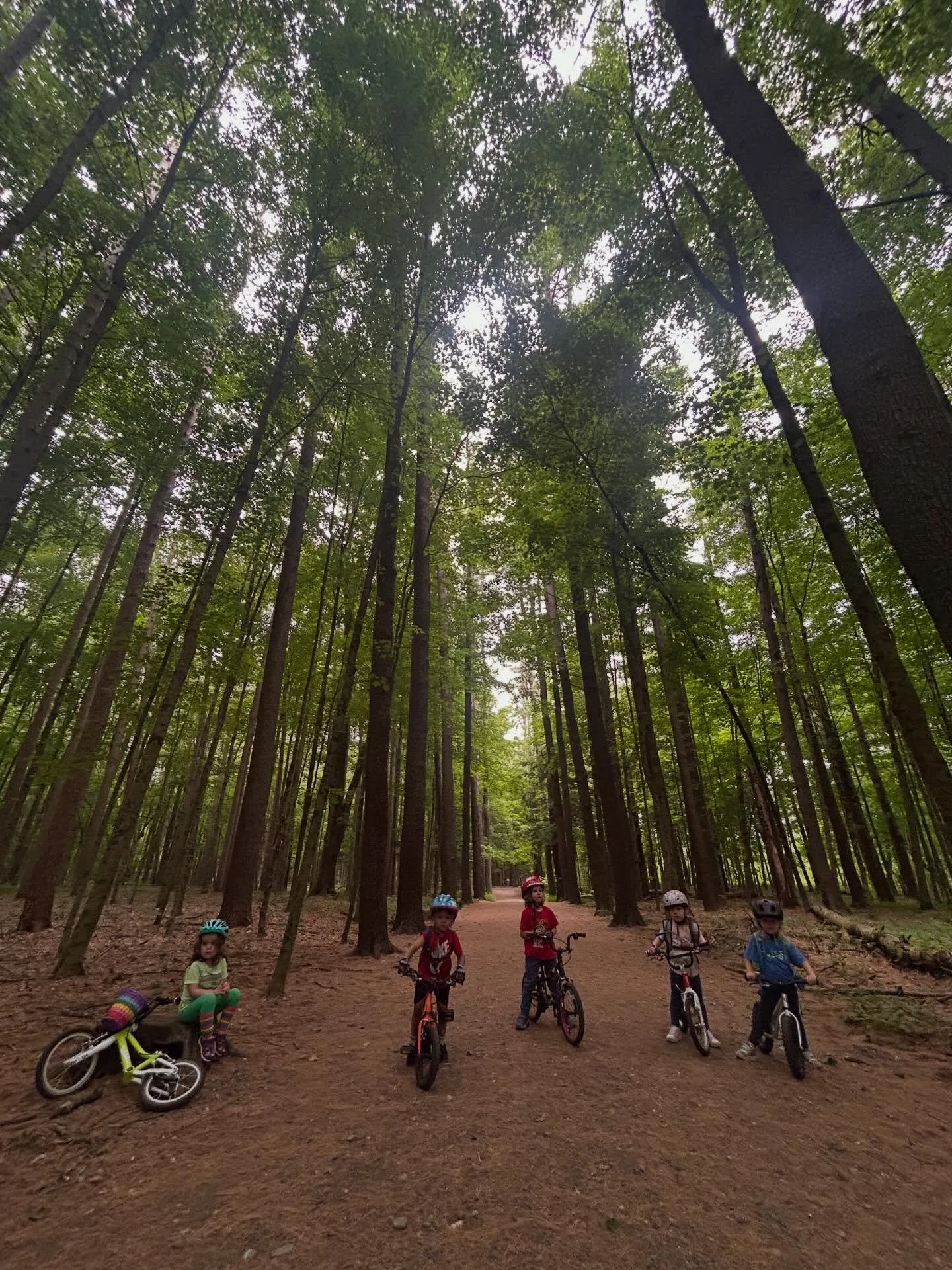 Spring is coming! 🚲🫶🏻
#moregirlsonbikes #morekidsonbikes #ridewithgratitude