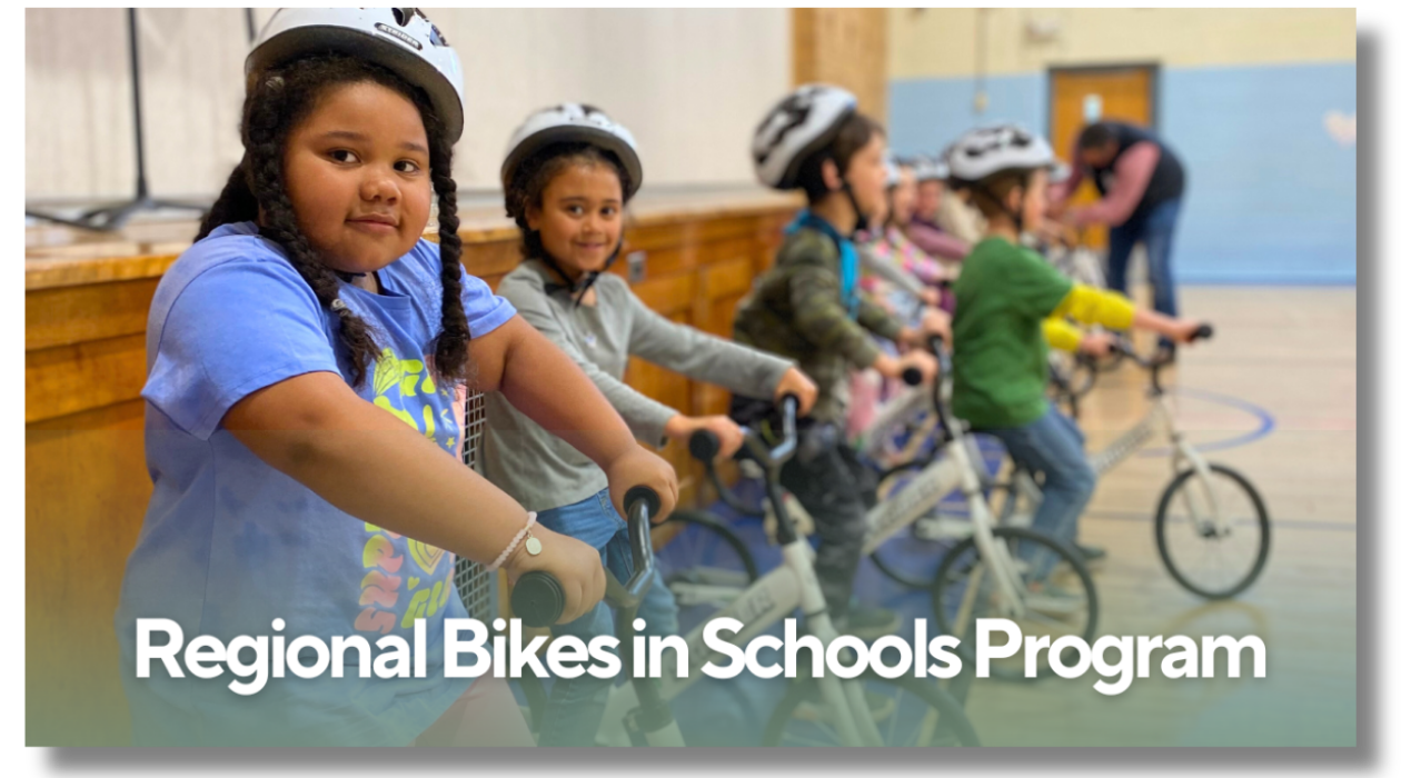 2026 Shredders Homepage Graphics (Smore Header) (2).png