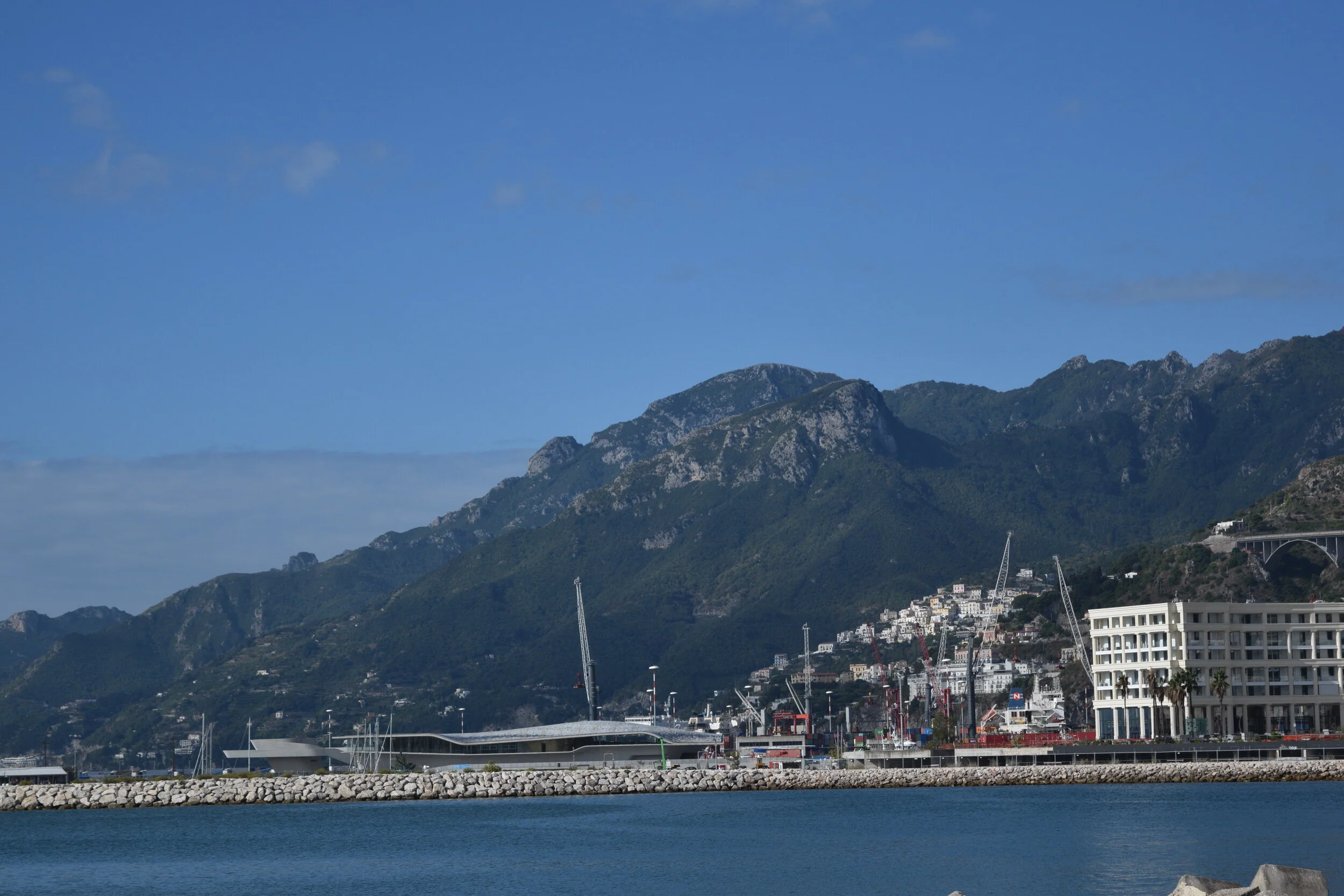 DSC_0195.JPG