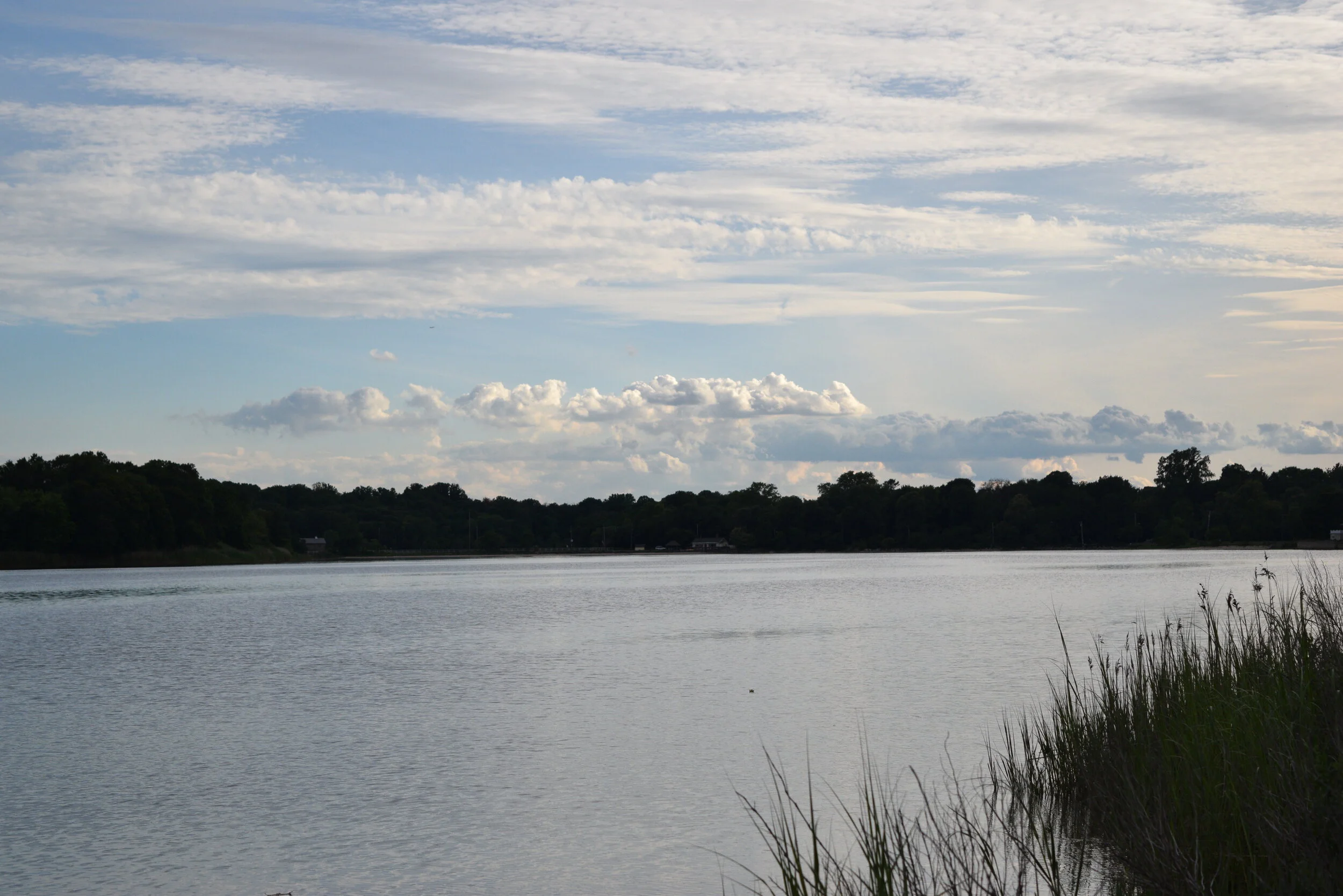 DSC_0071.JPG