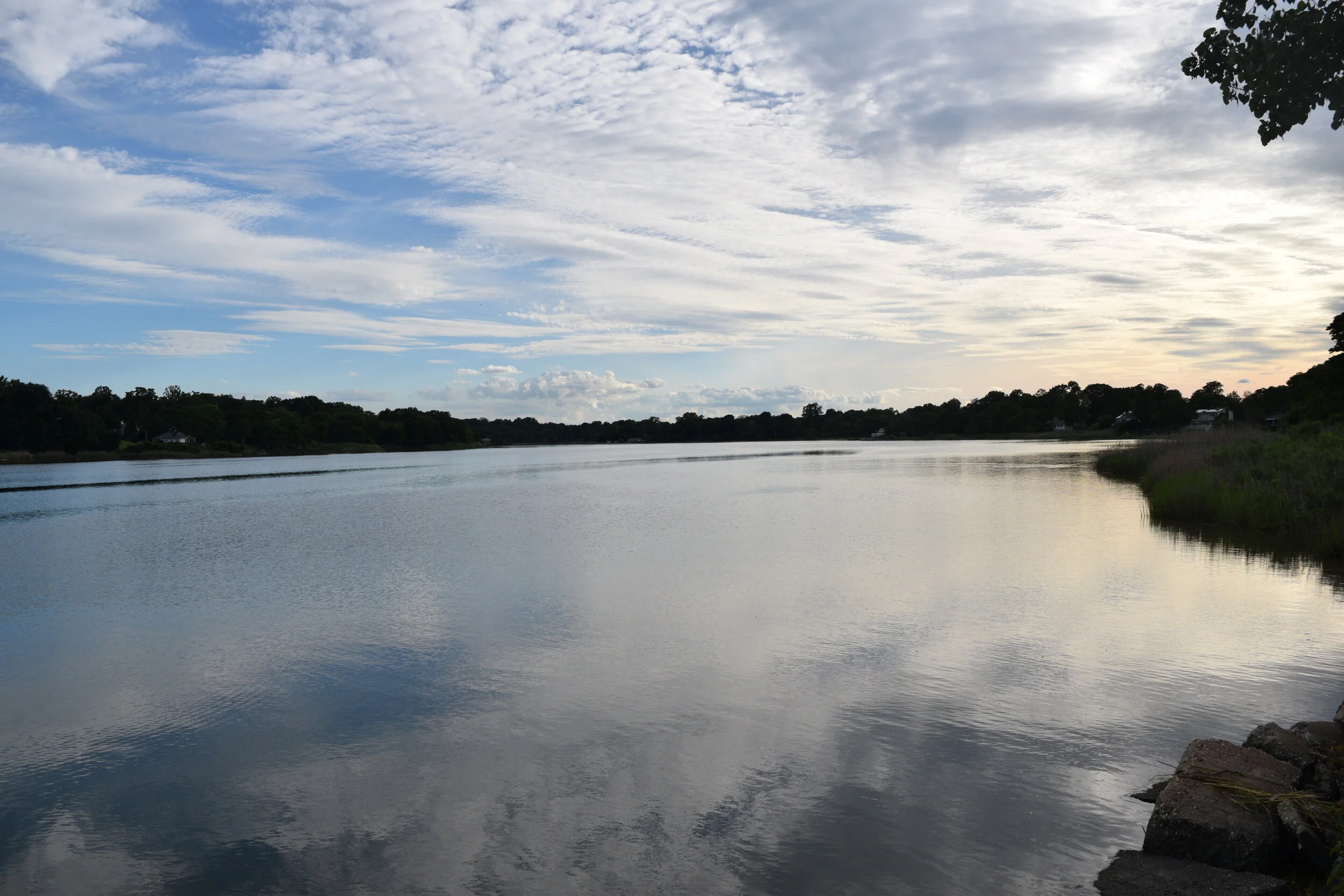 DSC_0059.JPG