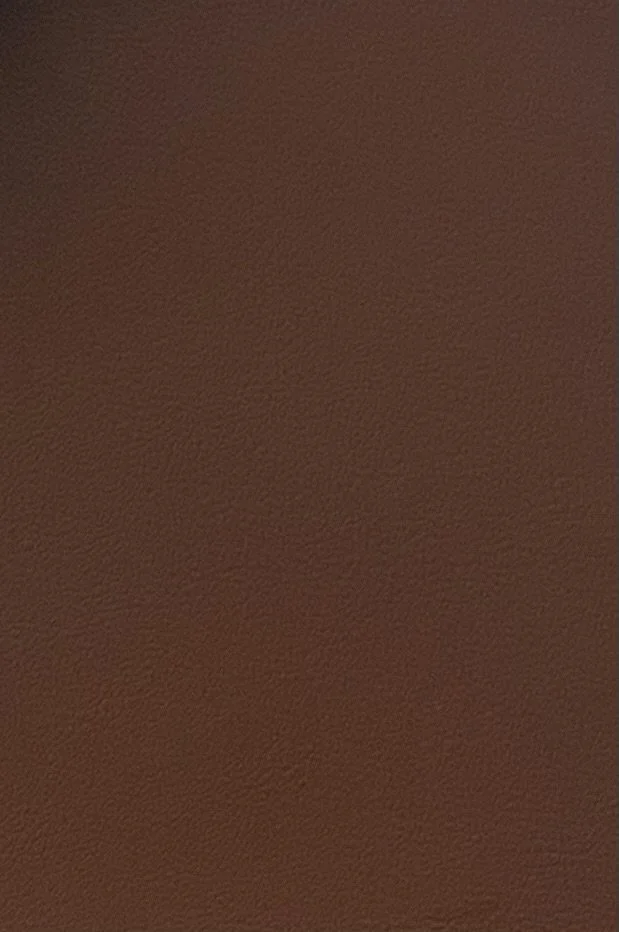 Truffle Brown website pic.jpeg