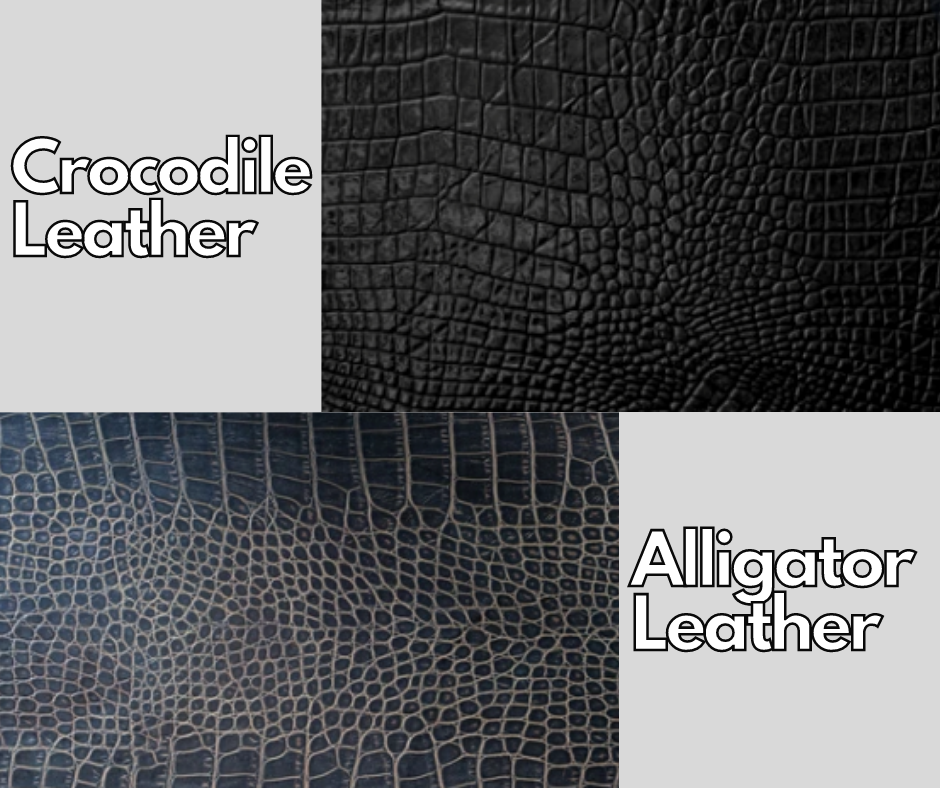 difference between alligator and crocodile skin