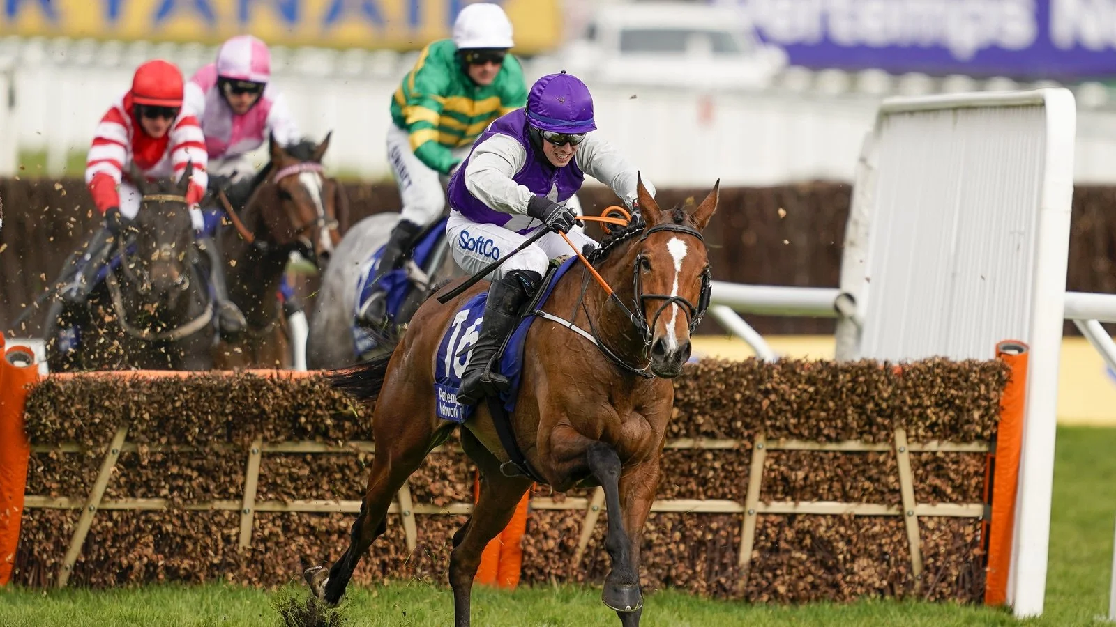 Goodwood Horse Racing Hospitality