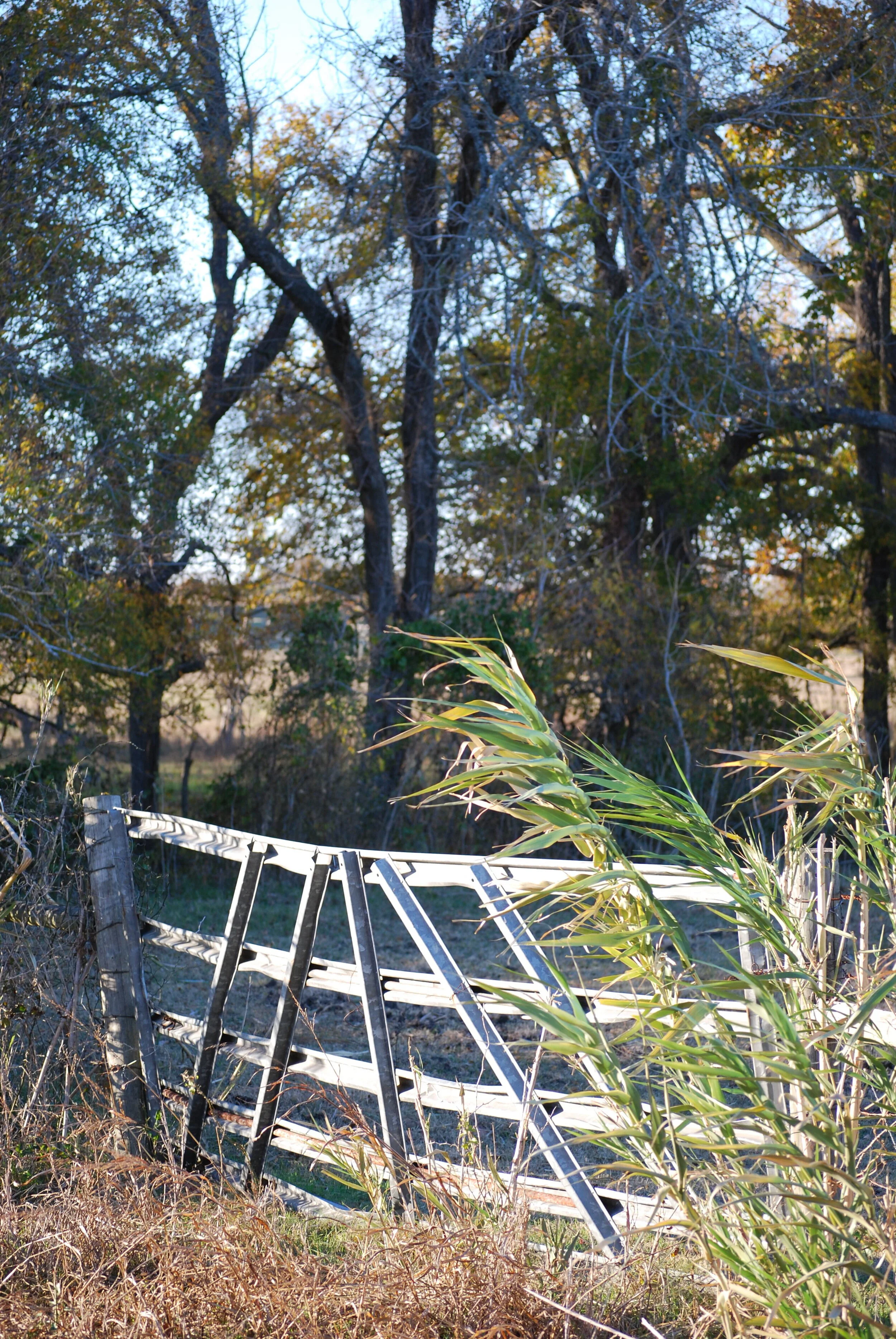 DSC_0105.JPG