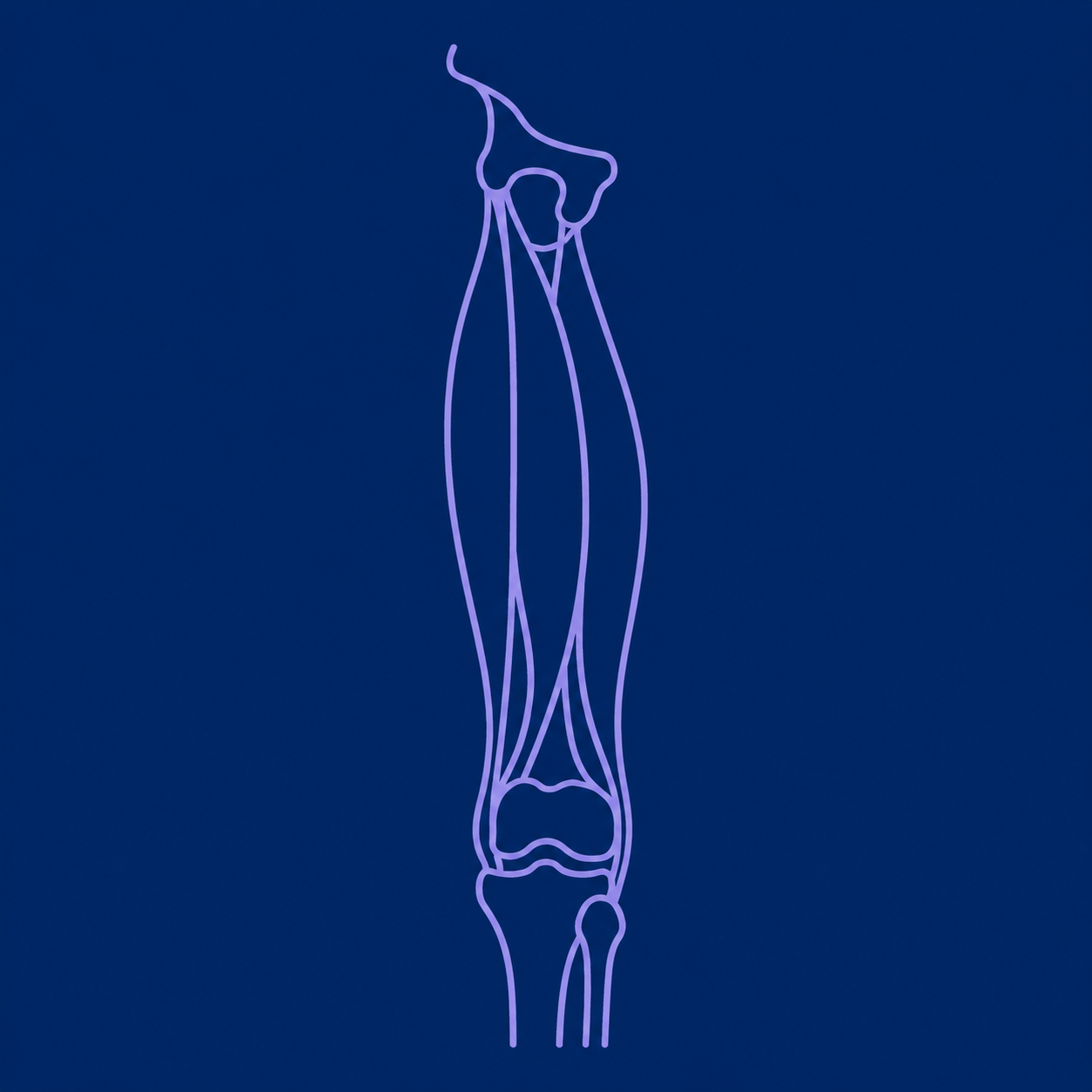 Hamstring pain physiotherapy middleton stockport