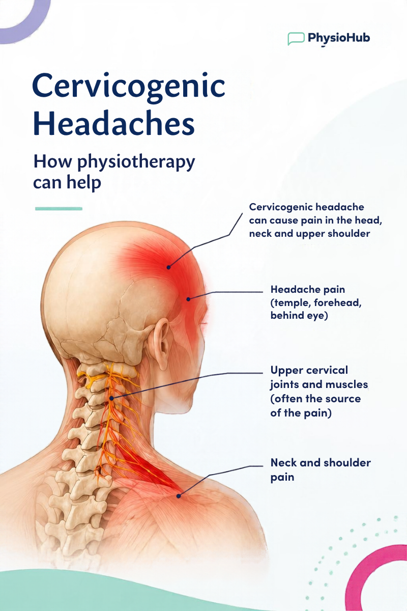 neck pain and headaches