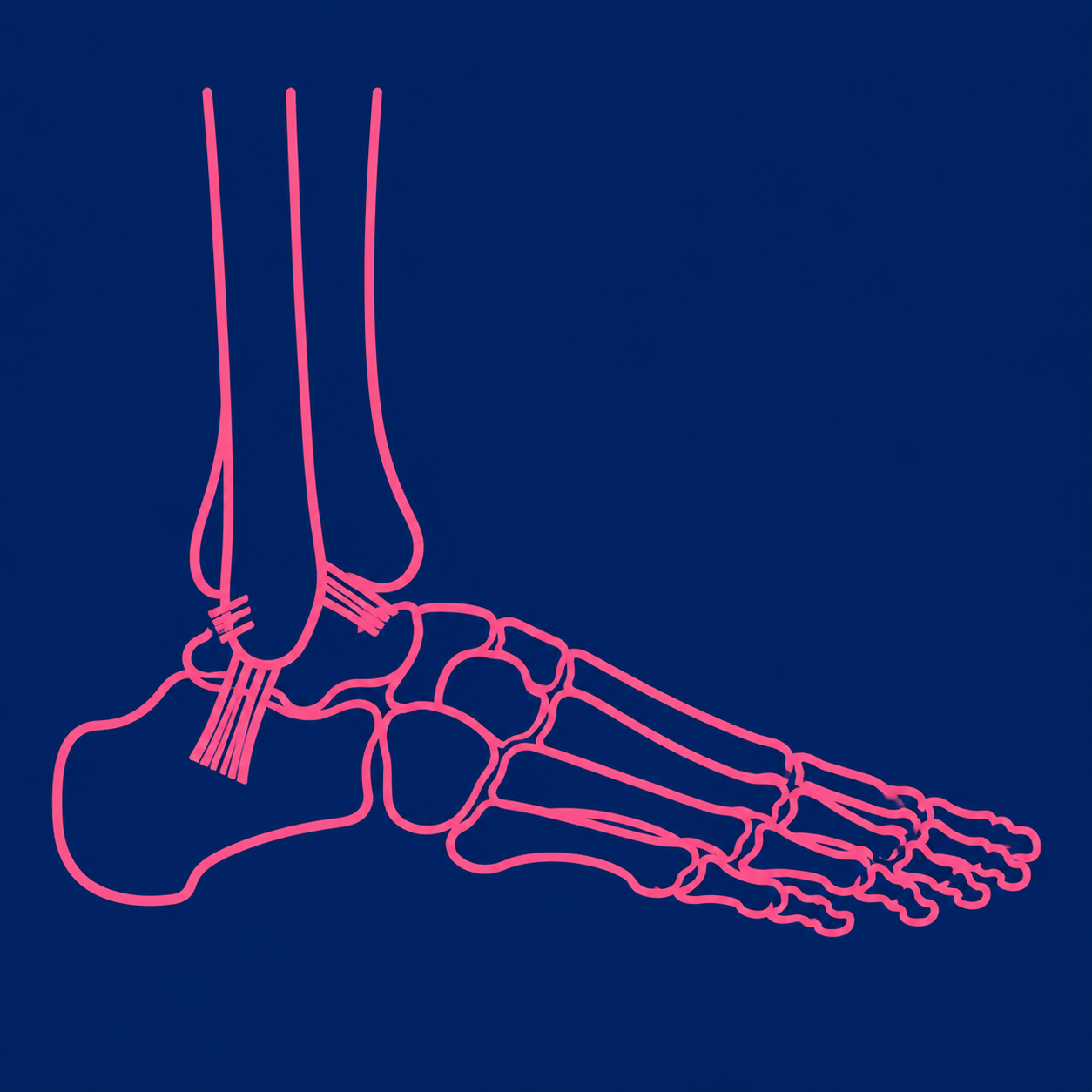 Ankle pain middleton stockport