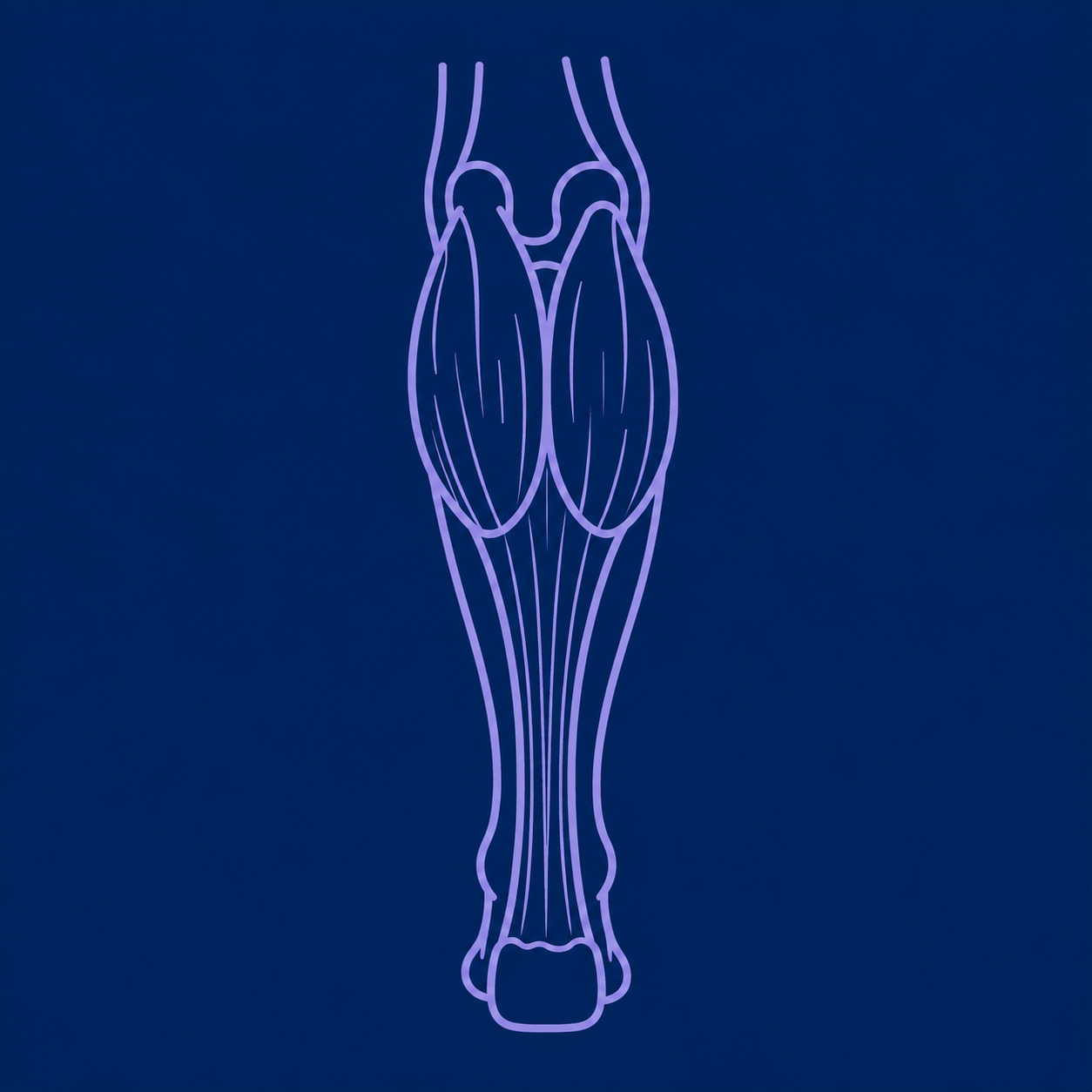Calf Achilles pain middleton stockport