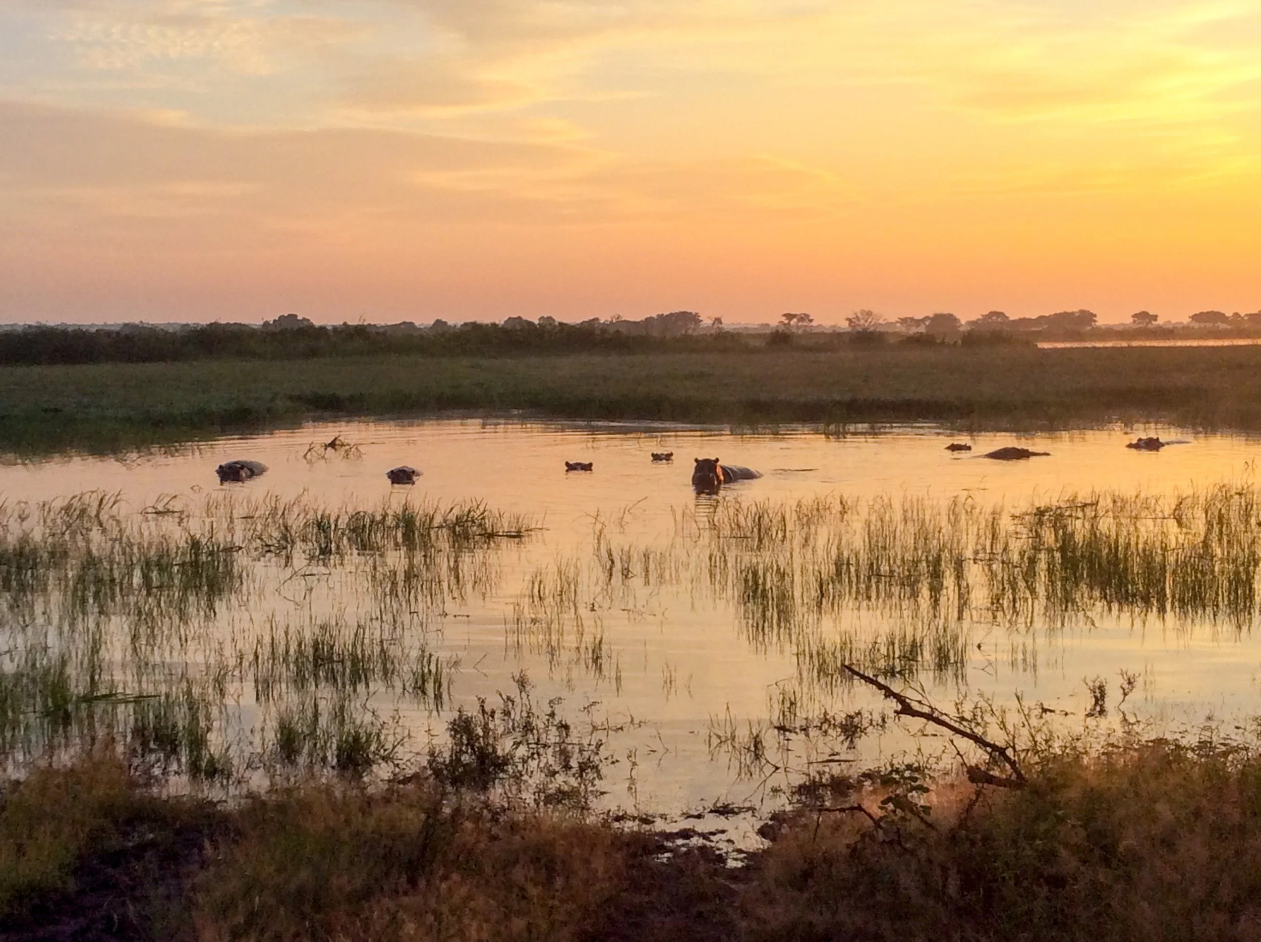 Faune et nature au Zimbabwe