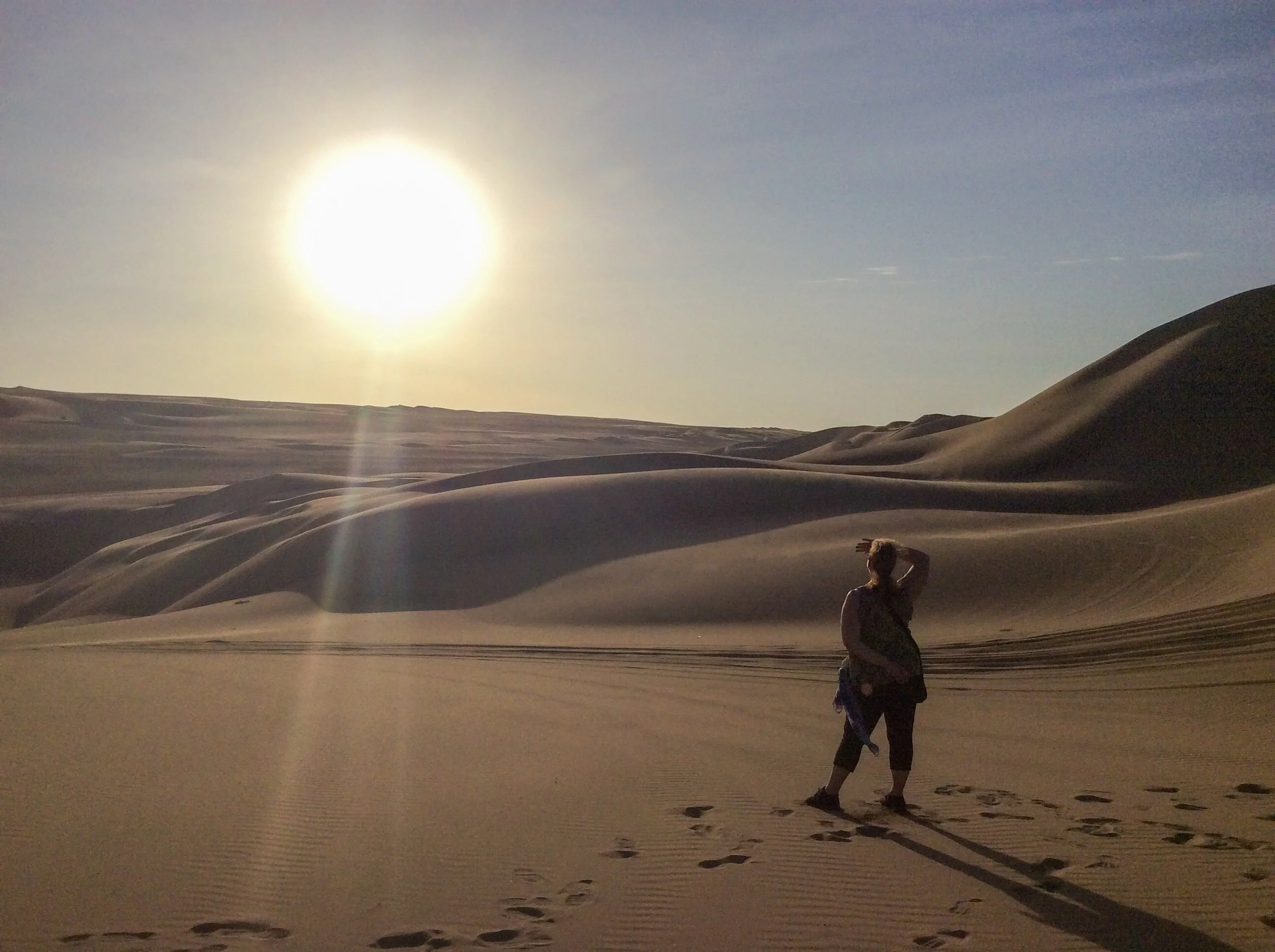 Mes cinq coups de cœur sud-américains