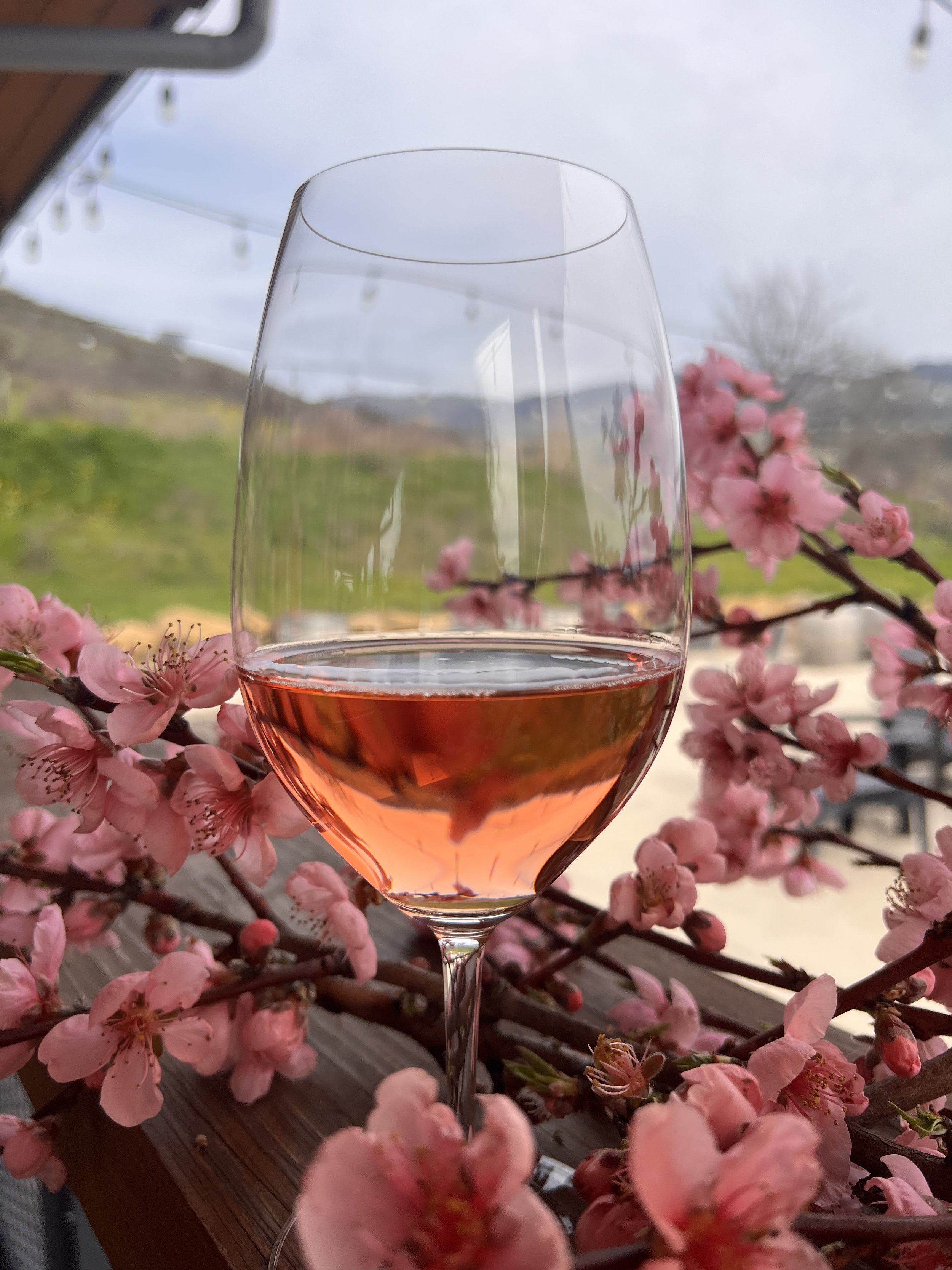 Happy Hour at the Tasting House