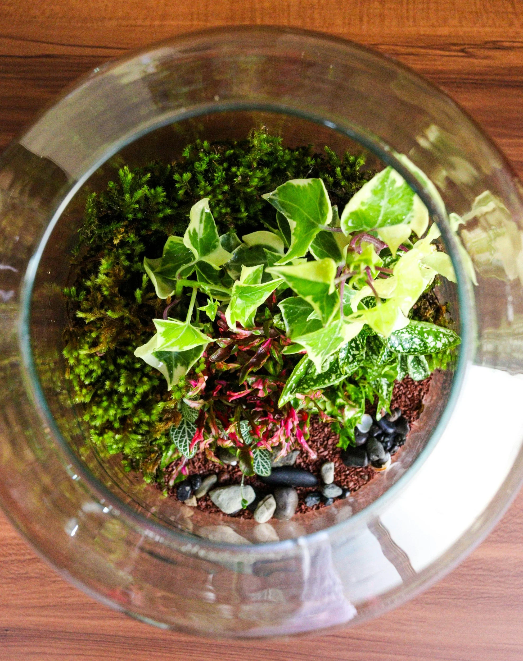 Mini Terrarium Building Workshop  with Bestow