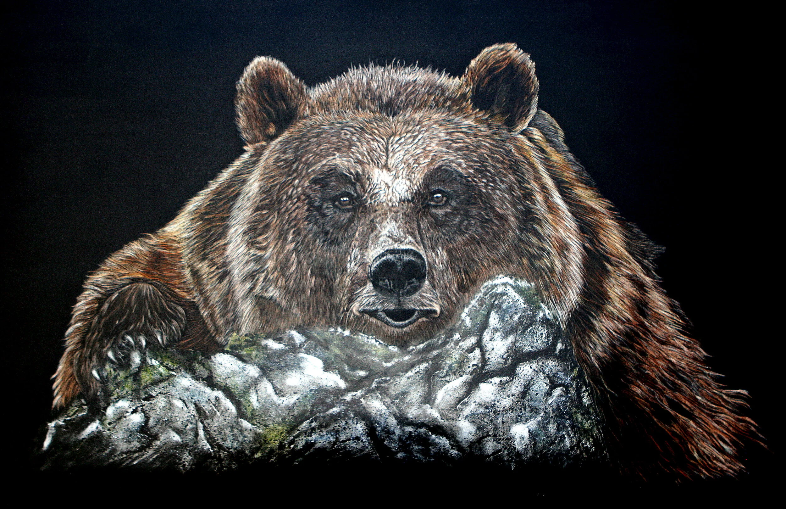 Kodiak by Rebecca Trapp.jpg