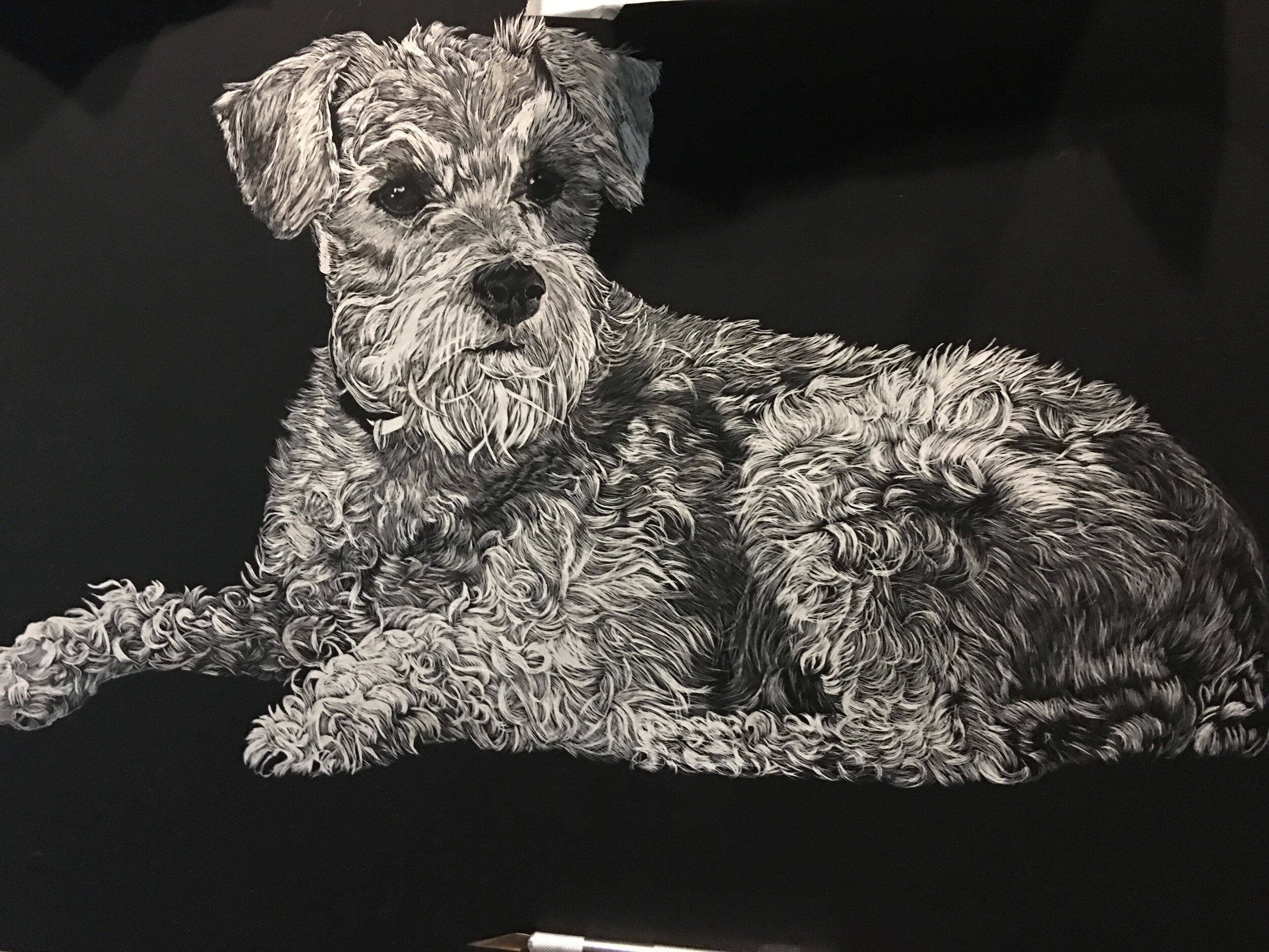 Pepper