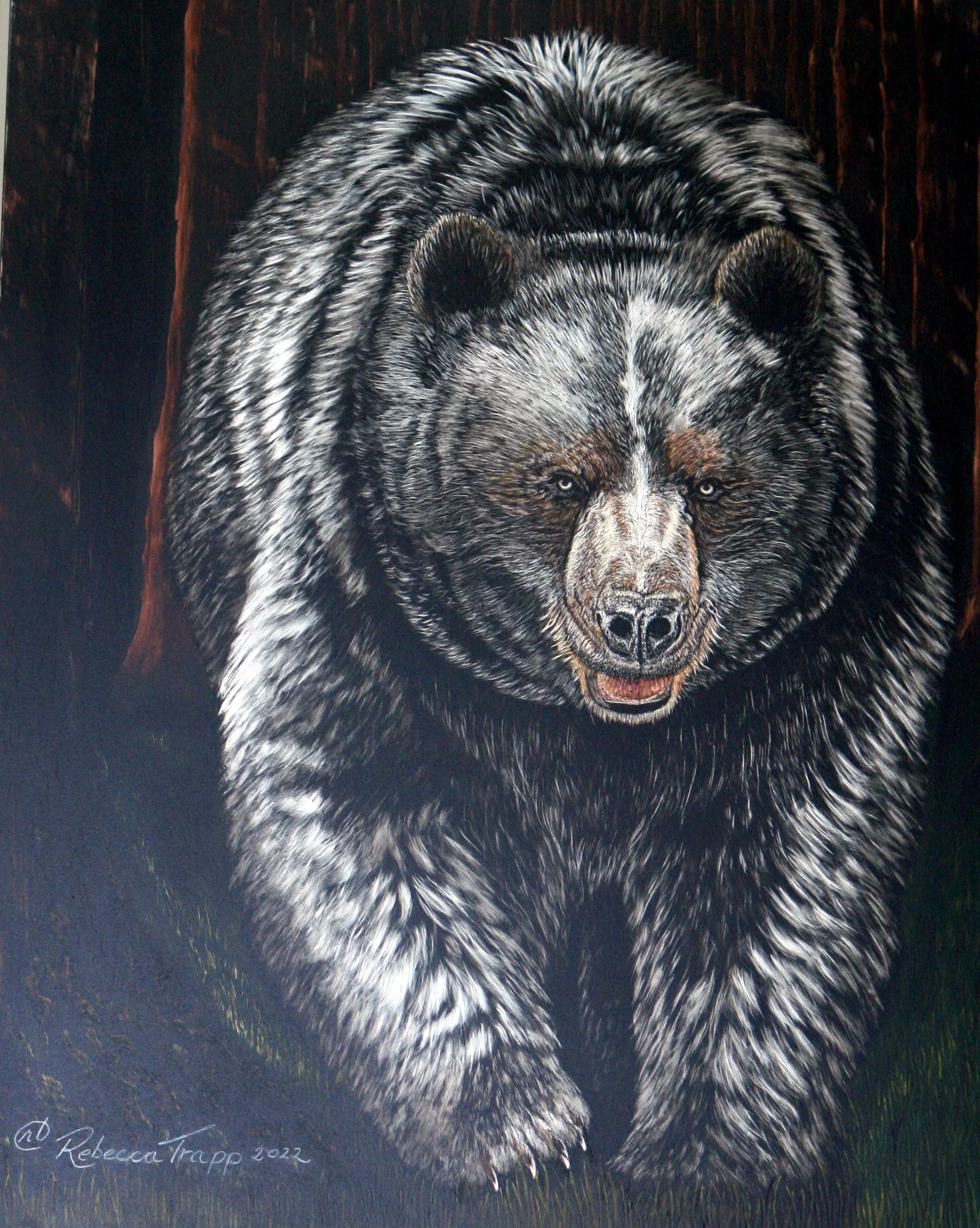 RKT-Black Bear-  The Hunt  .JPG