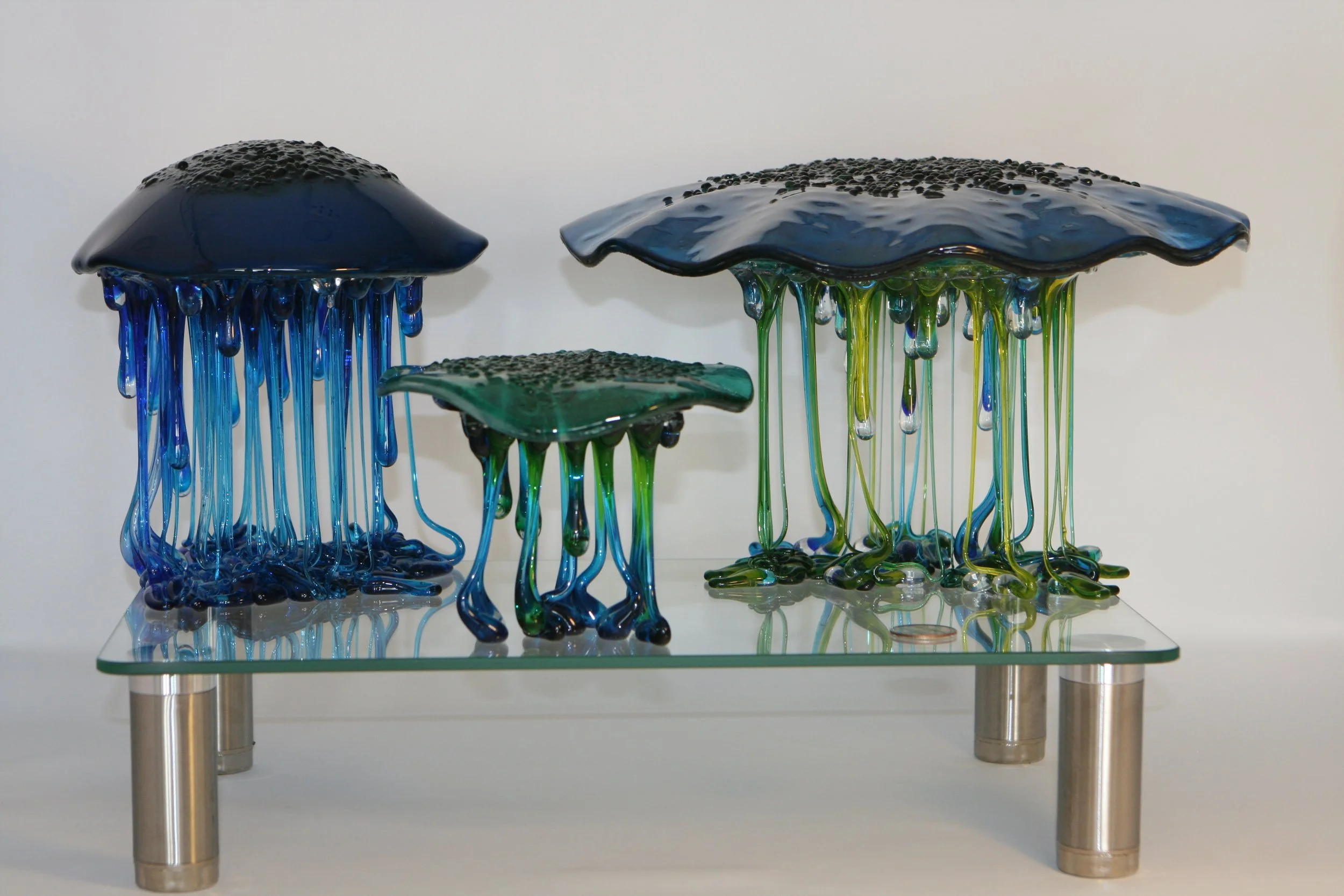 Jellyfish