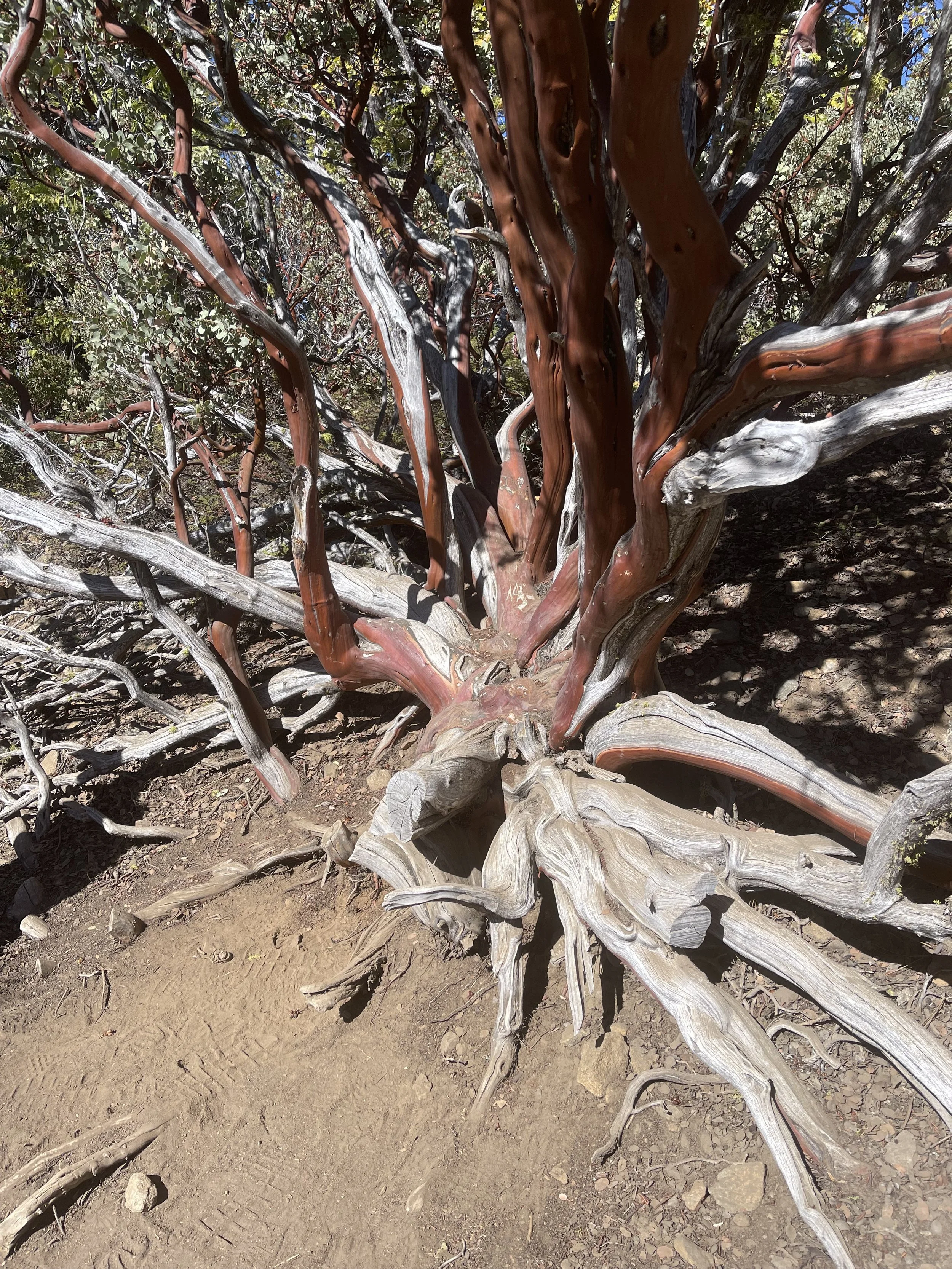 What Did We Learn This Year About Working in Complex Systems?