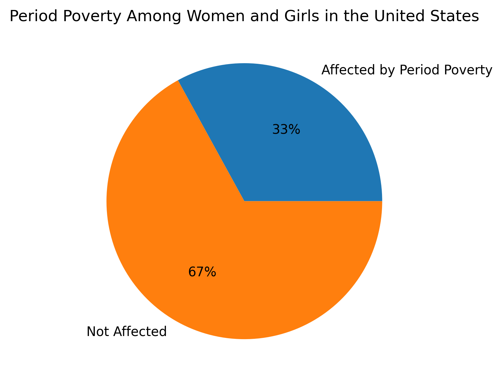 Period Poverty in America 2025 - A Report from Dignity Grows
