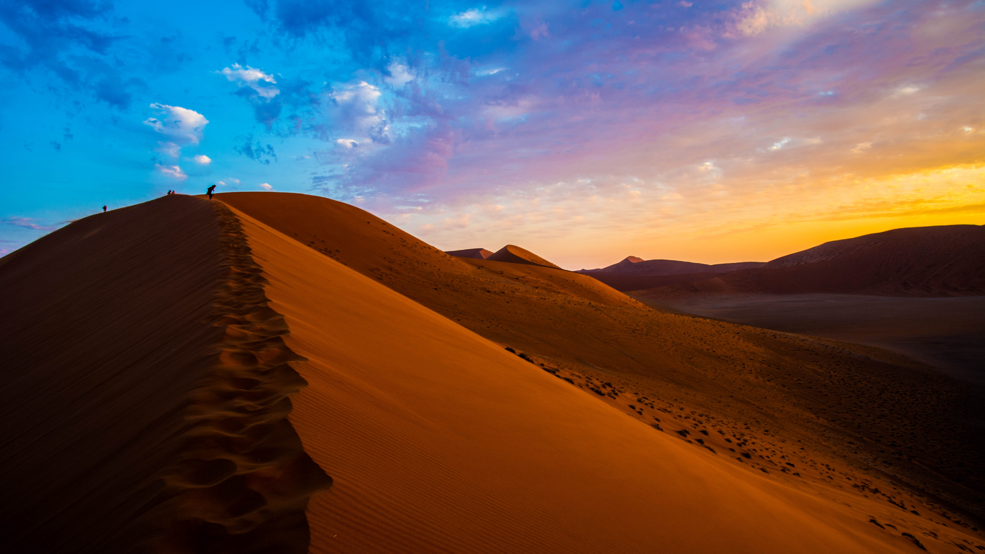 2026 Base Artwork (1).png