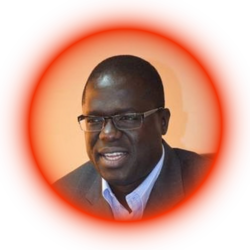 Mr. Ahmadou Aly Mbaye
