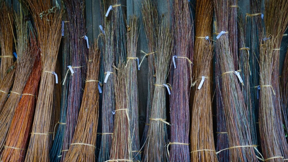 Dried Willow Branches For Sale  Living Willow Farm — LIVING WILLOW FARM