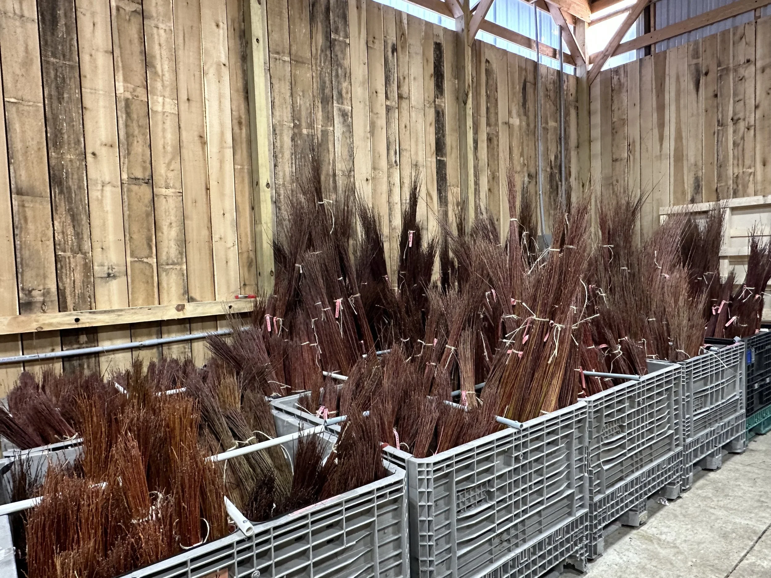 Willow Store LIVING WILLOW FARM Willow store living willow farm