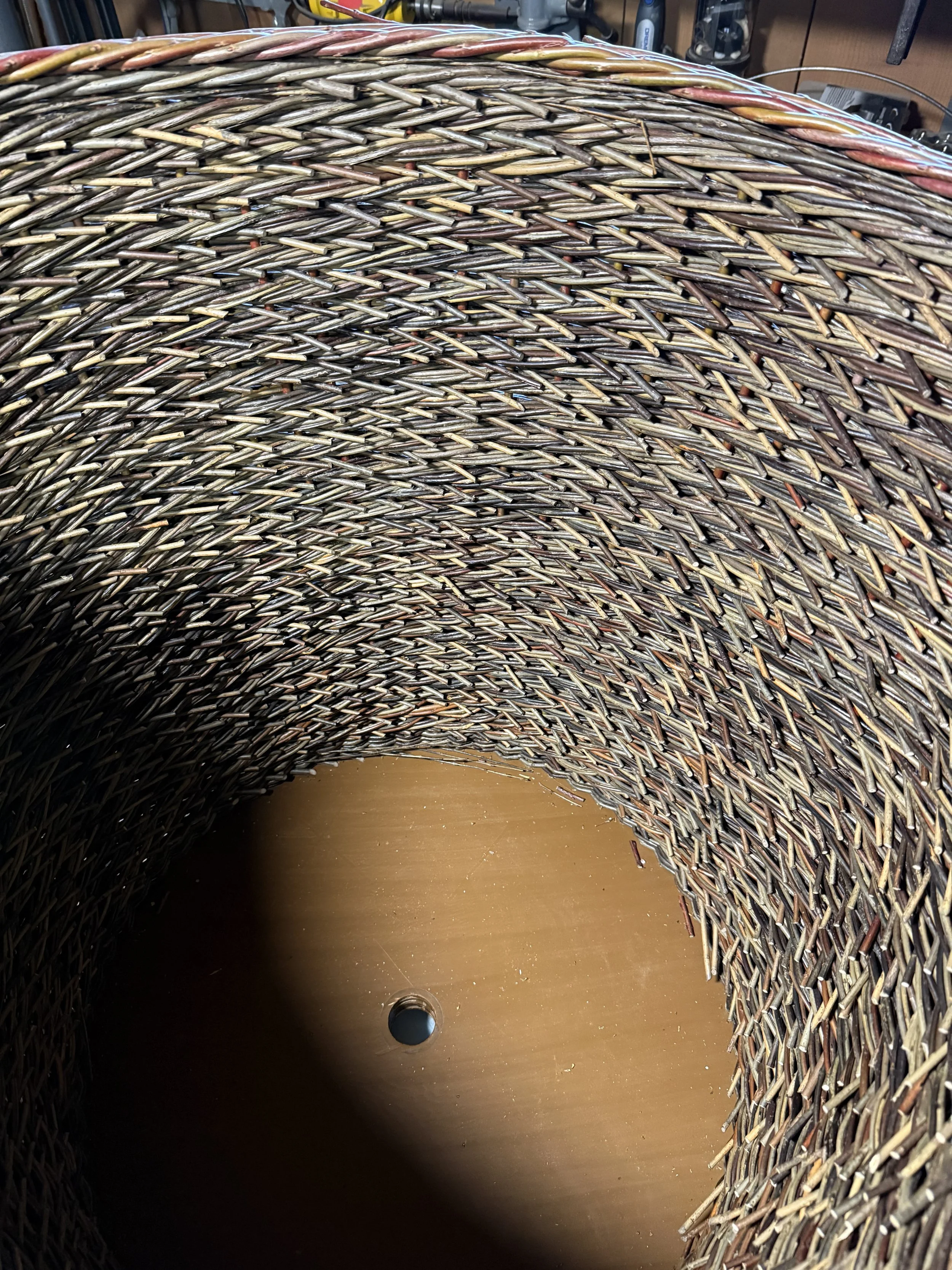 IMG_9500.jpeg