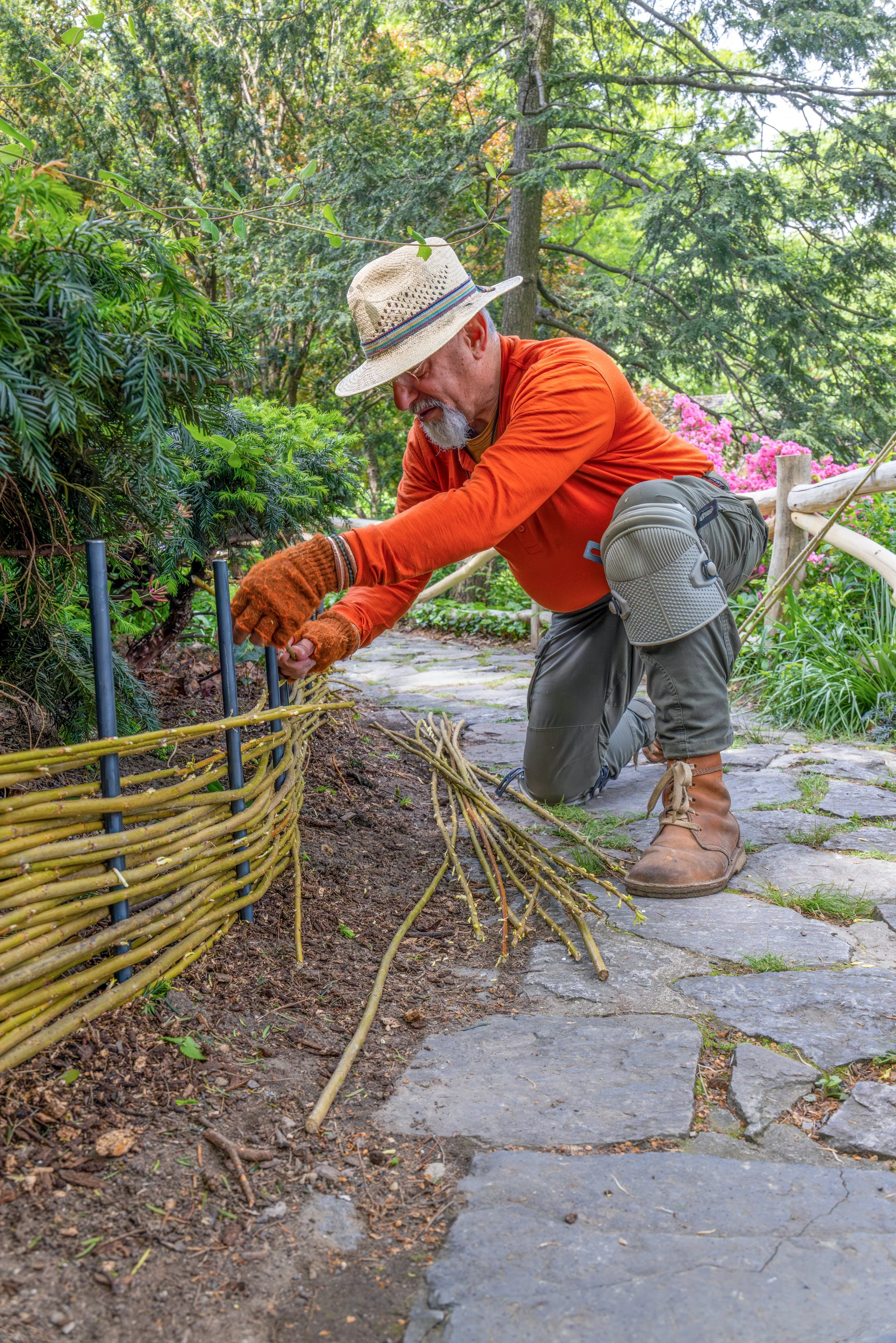 ShakespeareGarden_WattleFence_20260513_13.jpg