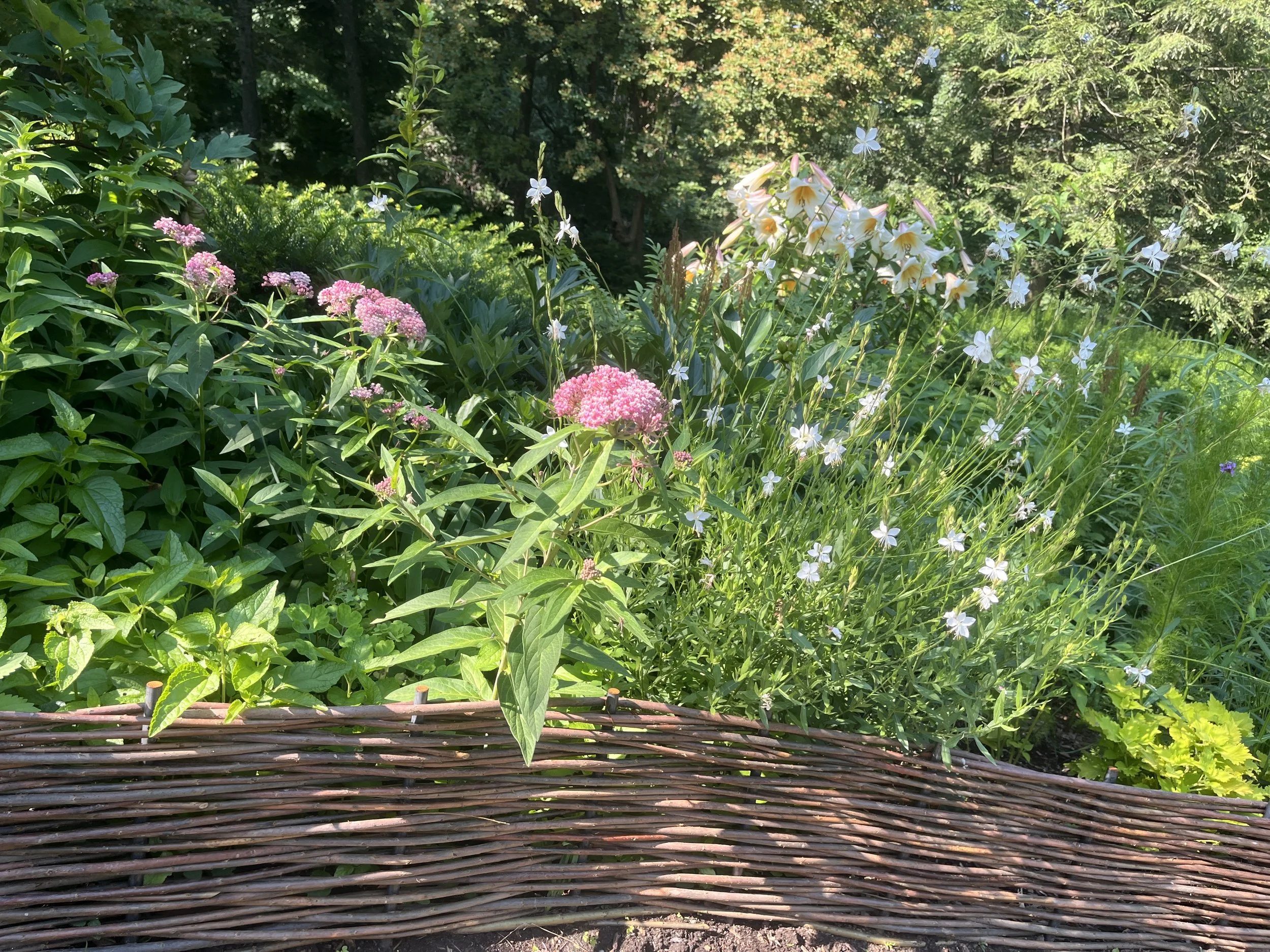 IMG_0127.jpeg