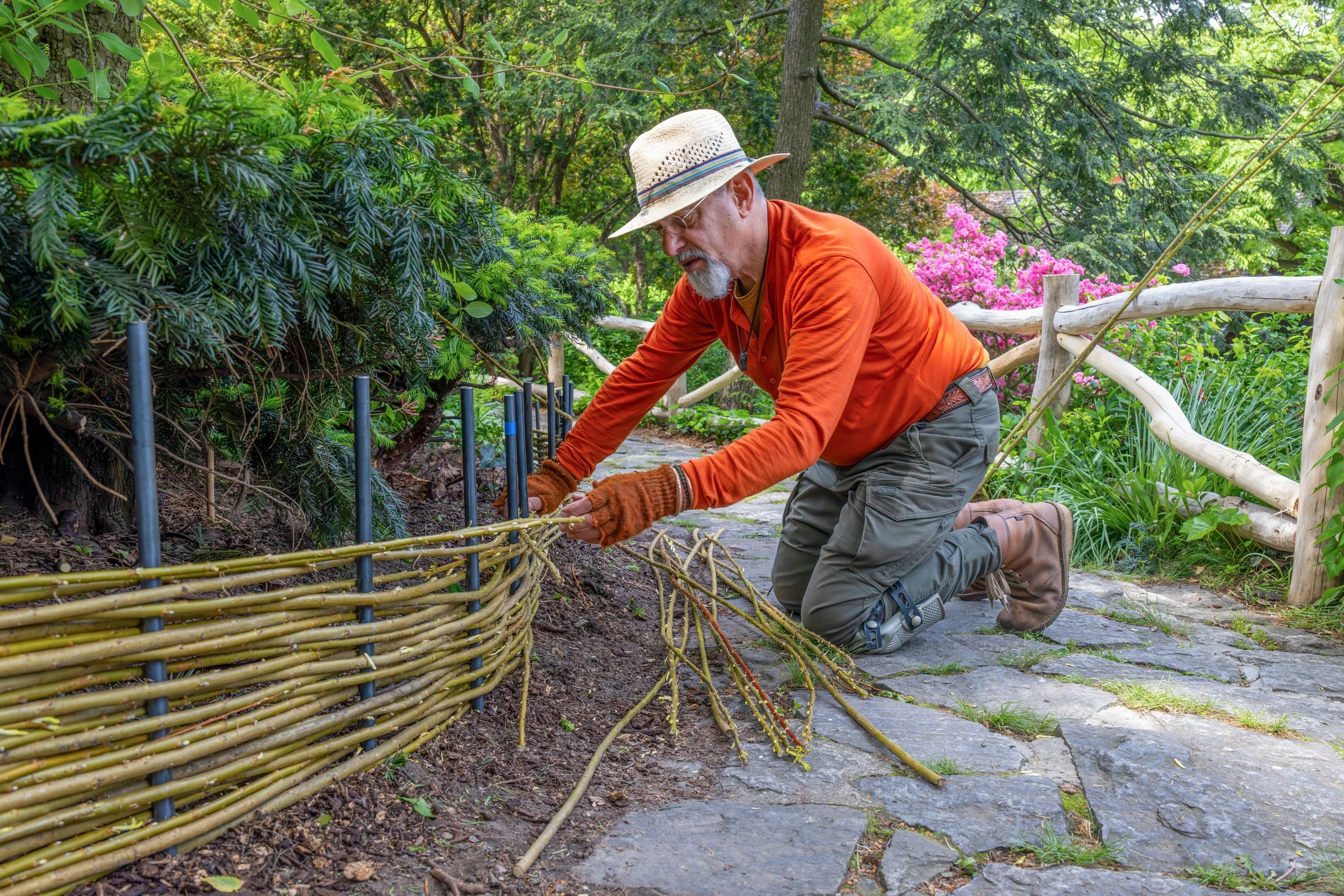 ShakespeareGarden_WattleFence_20260513_02.jpg