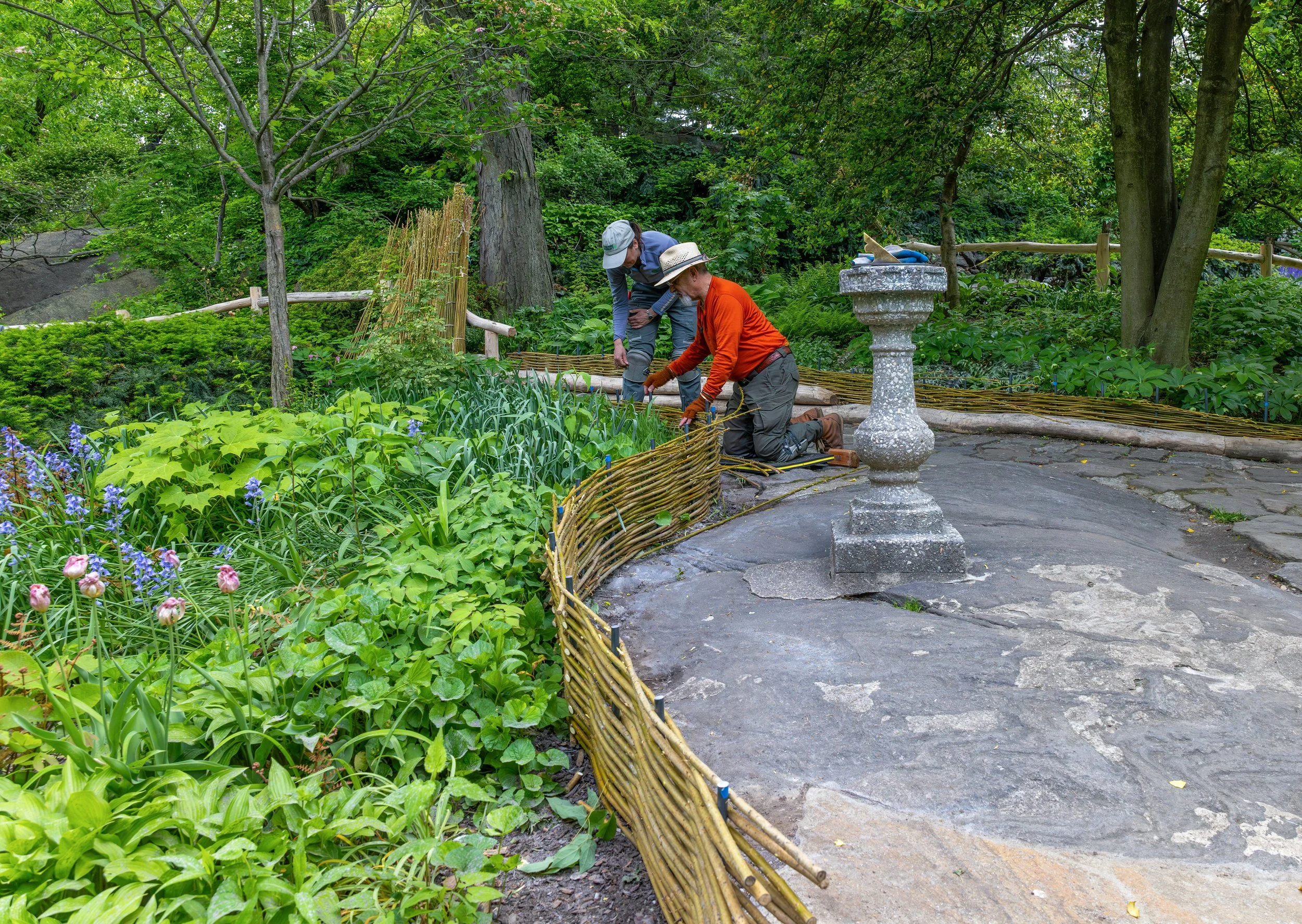 ShakespeareGarden_WattleFence_20260513_20.jpg