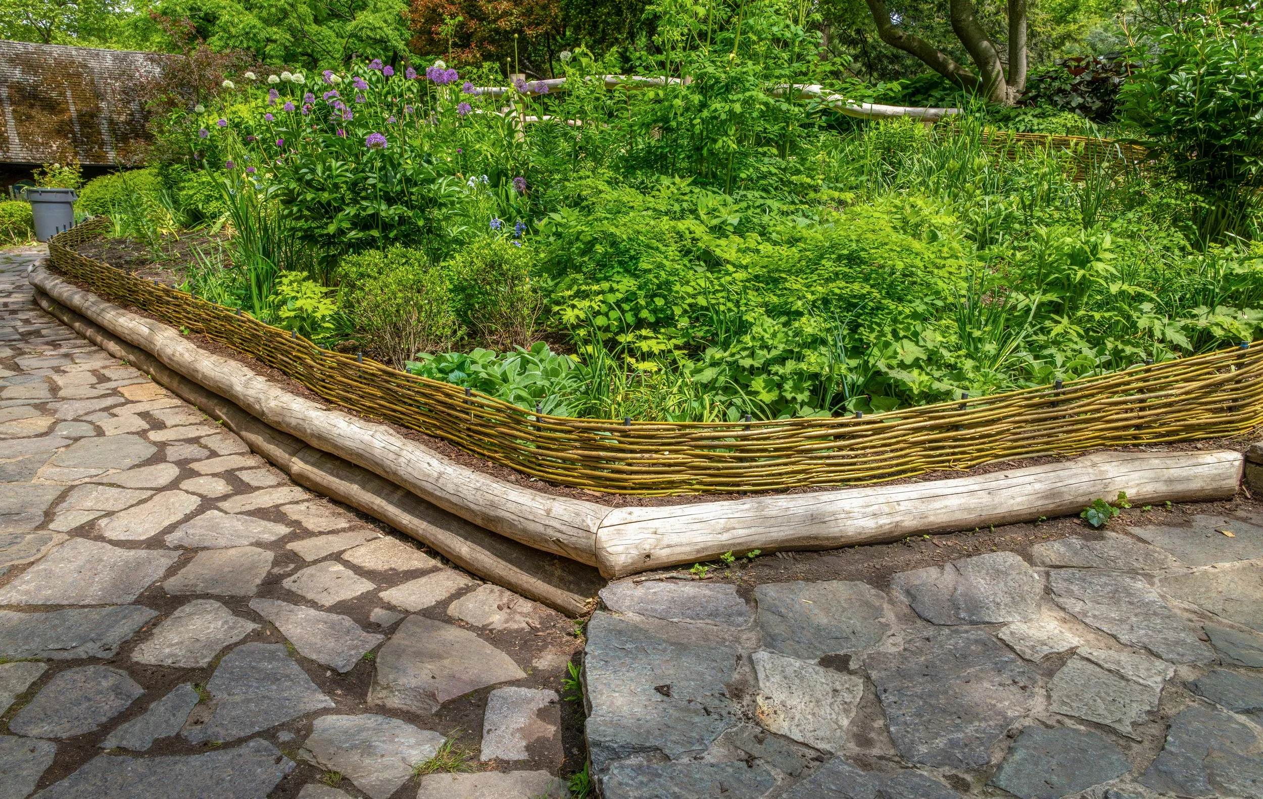 ShakespeareGarden_WattleFence_20260513_10.jpg