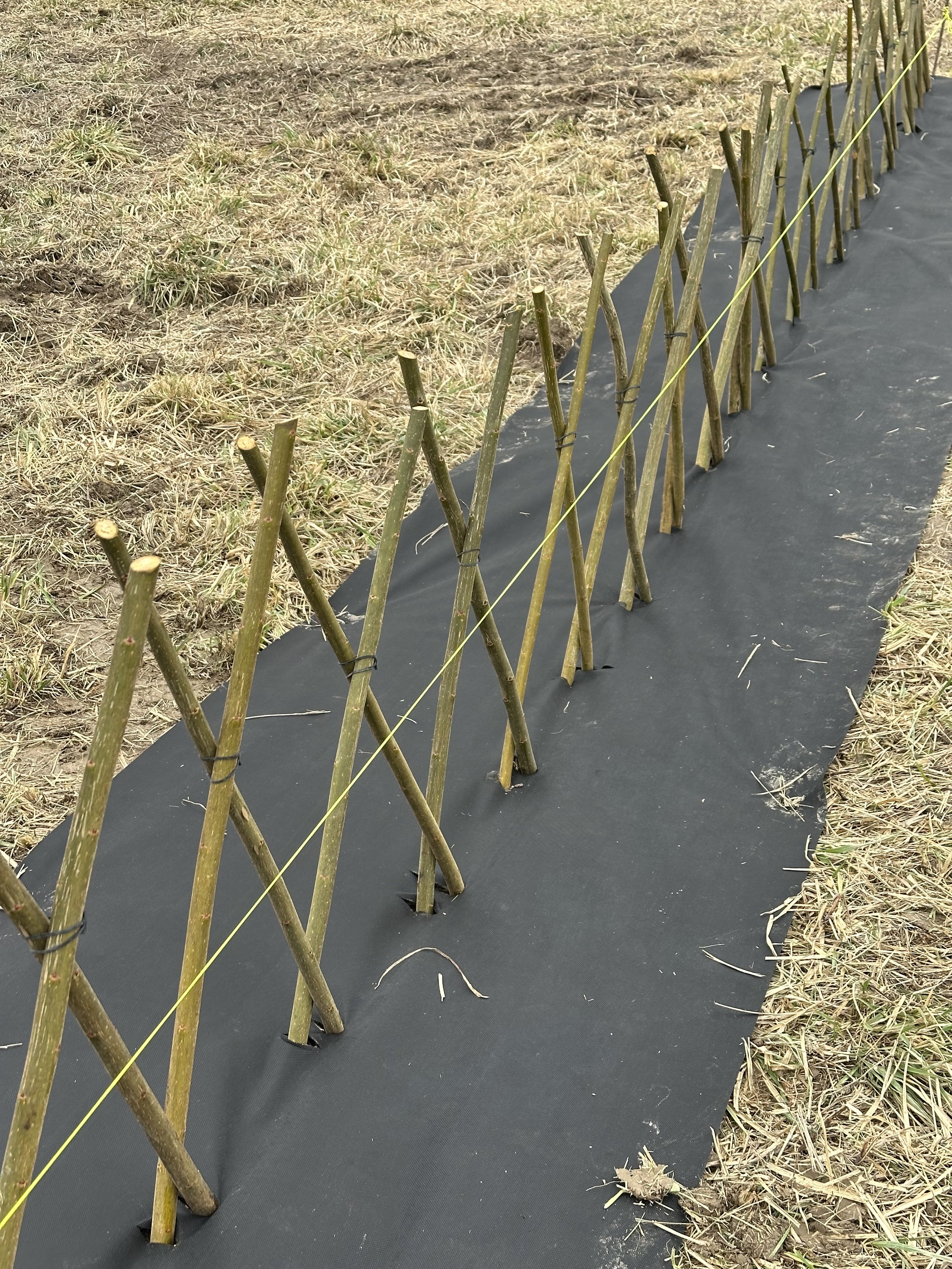 LIVING WILLOW 3 FT HEDGE KIT.jpeg