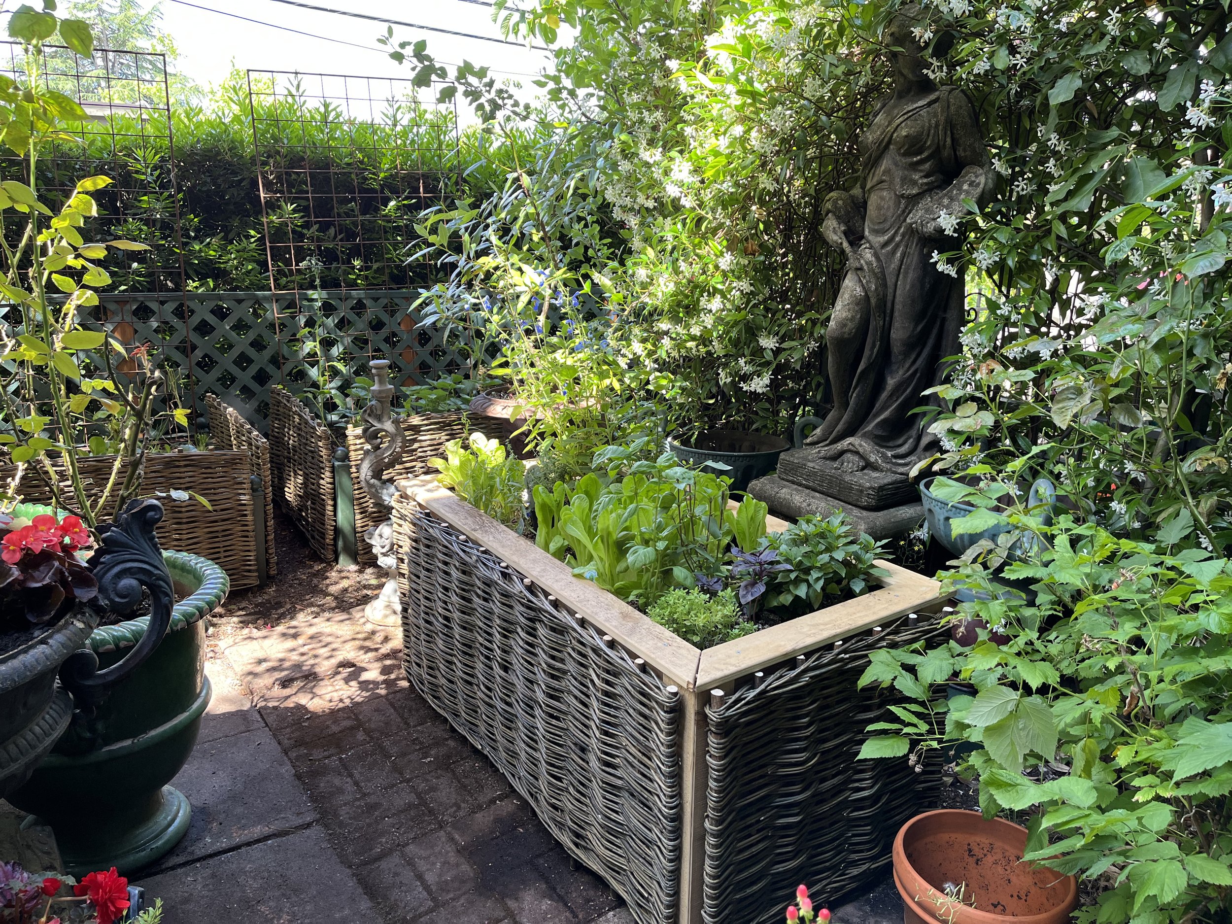 Living-Willow-Farm-Garden-Structures-Wattle-Kit-Medium-Dry-Rods-Garden-Box.jpeg