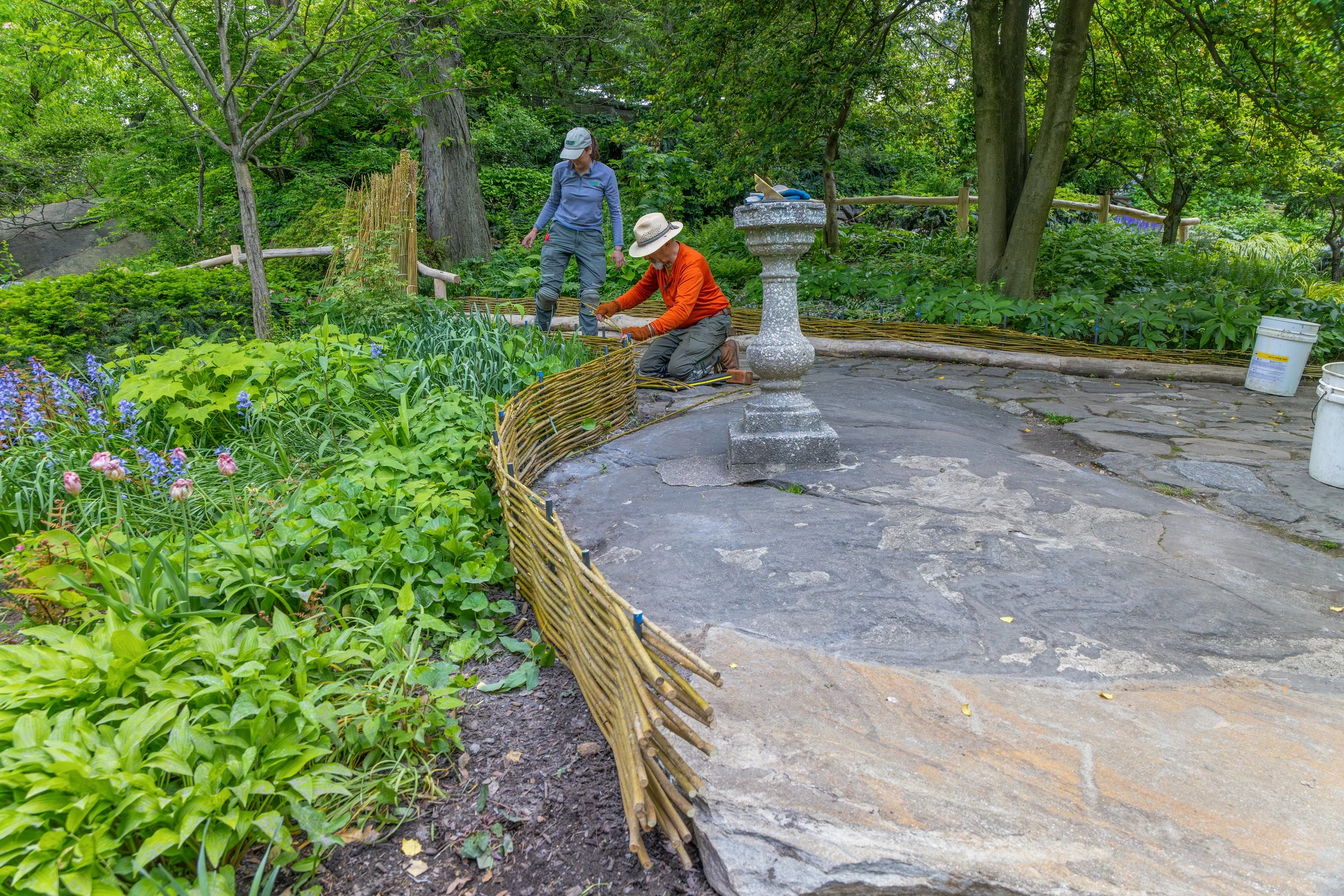 ShakespeareGarden_WattleFence_20260513_06.jpg