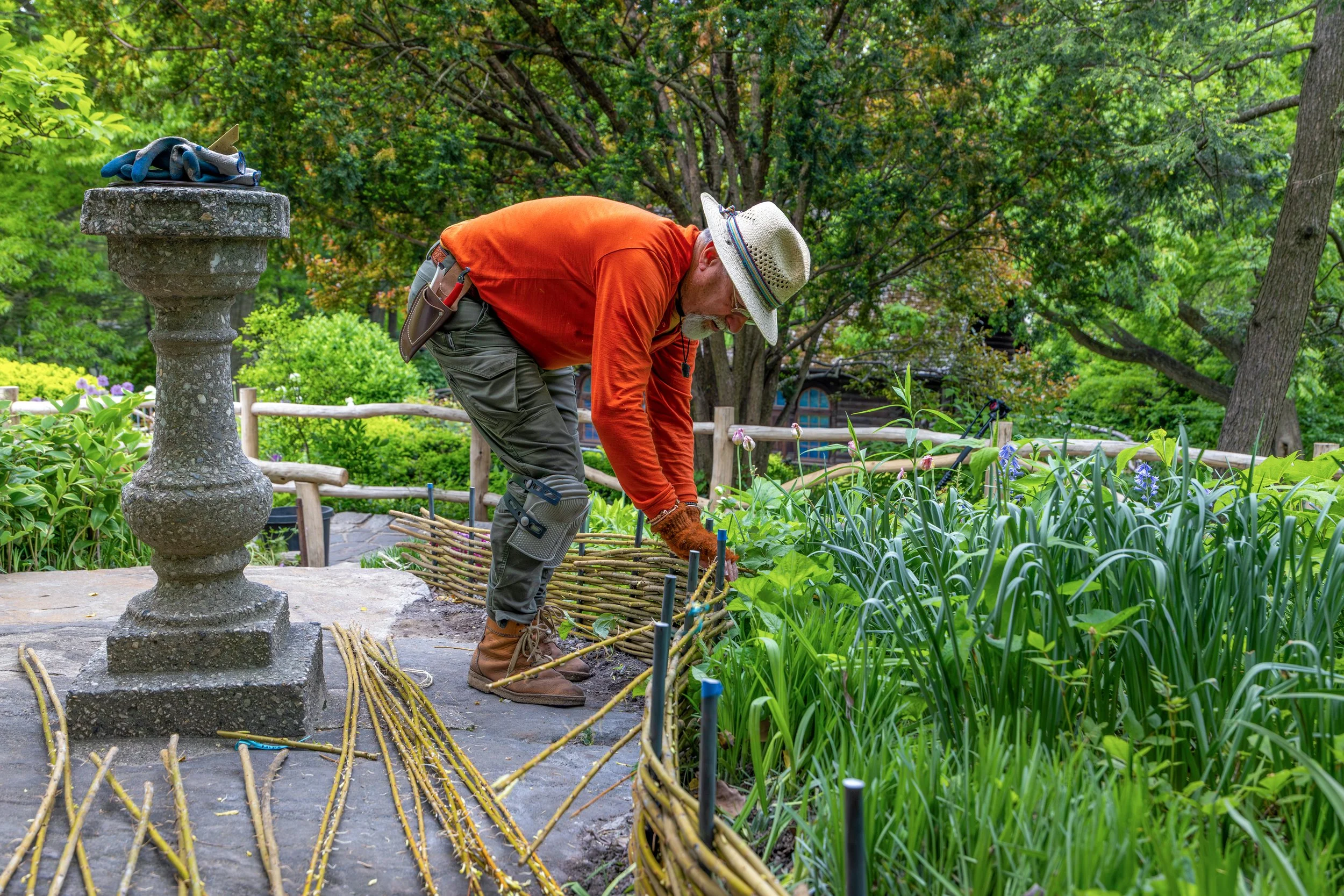 ShakespeareGarden_WattleFence_20260513_03.jpg