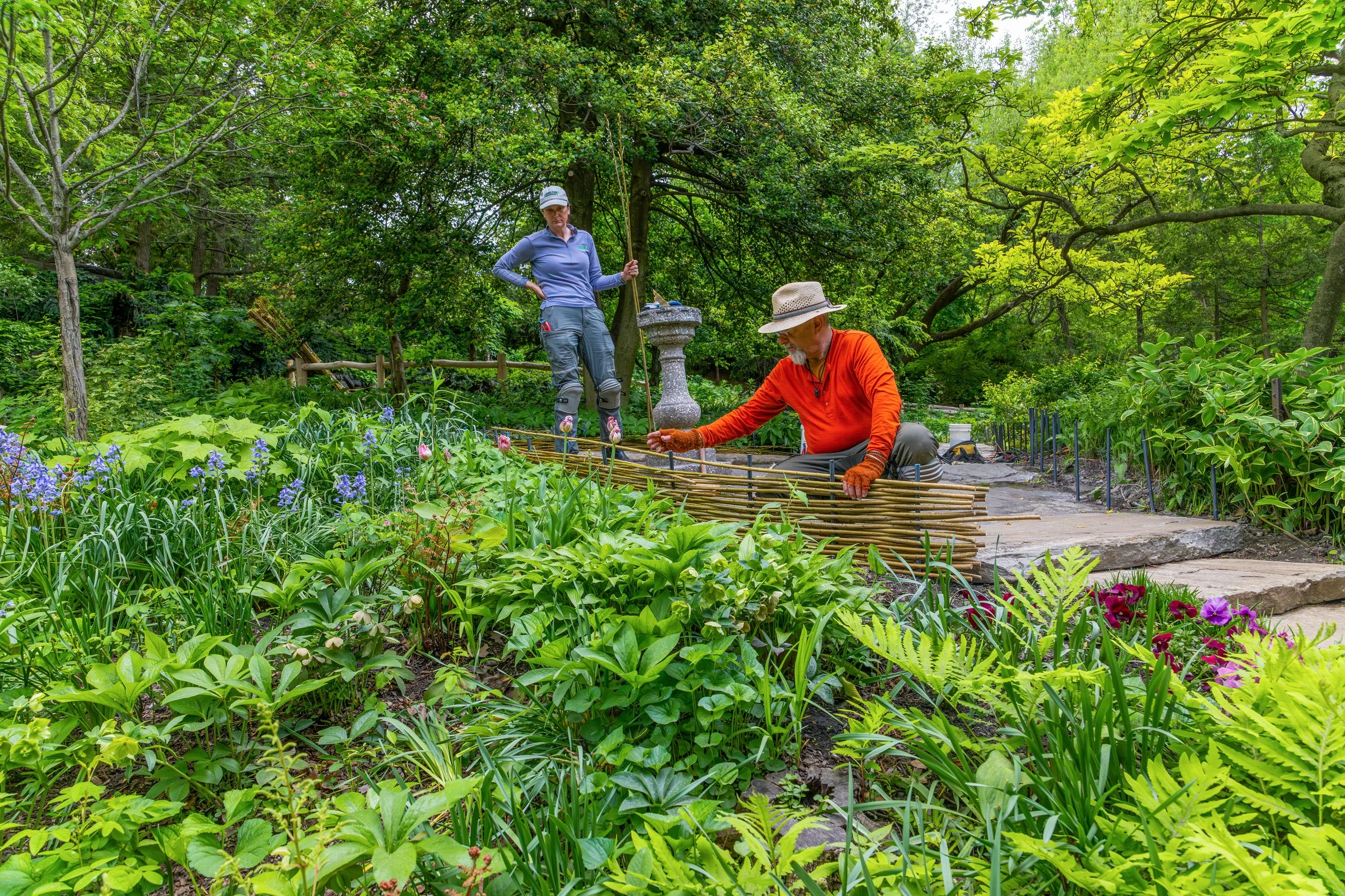 ShakespeareGarden_WattleFence_20260513_16.jpg
