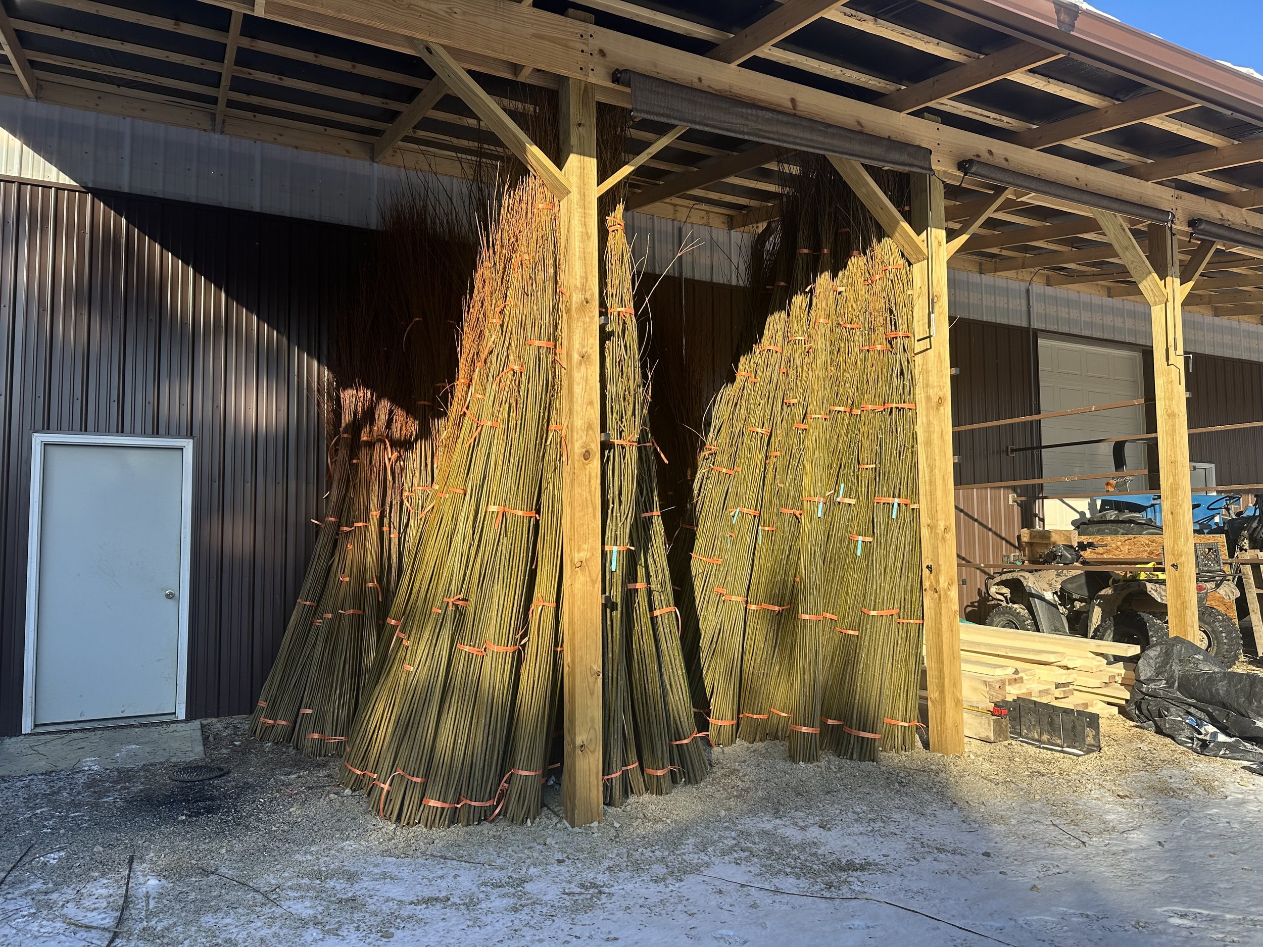 Living-Willow-Farm-sorted-large-rods.jpeg