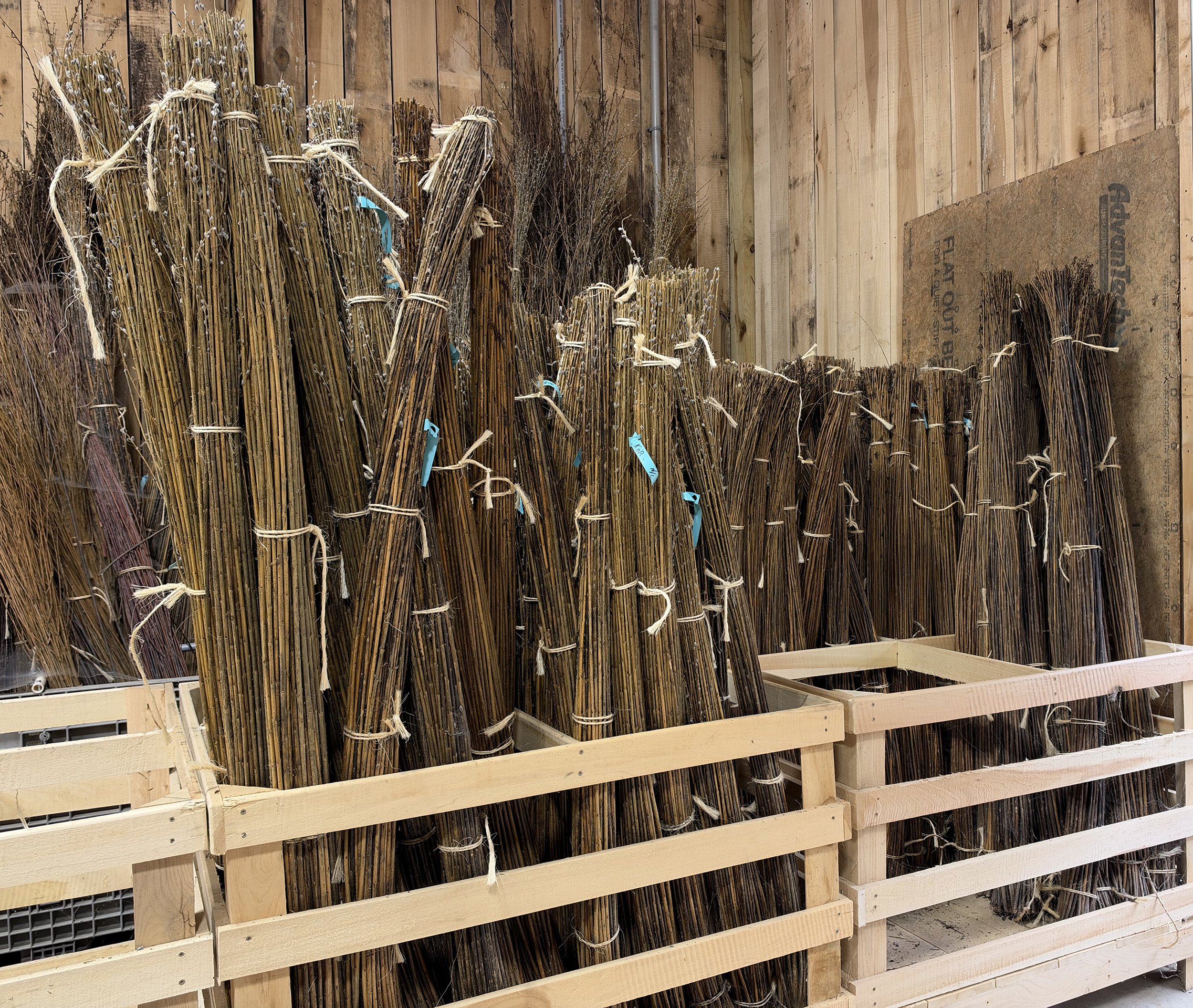 Bundles: Sculpture Quality Dry Rods 5'-6'