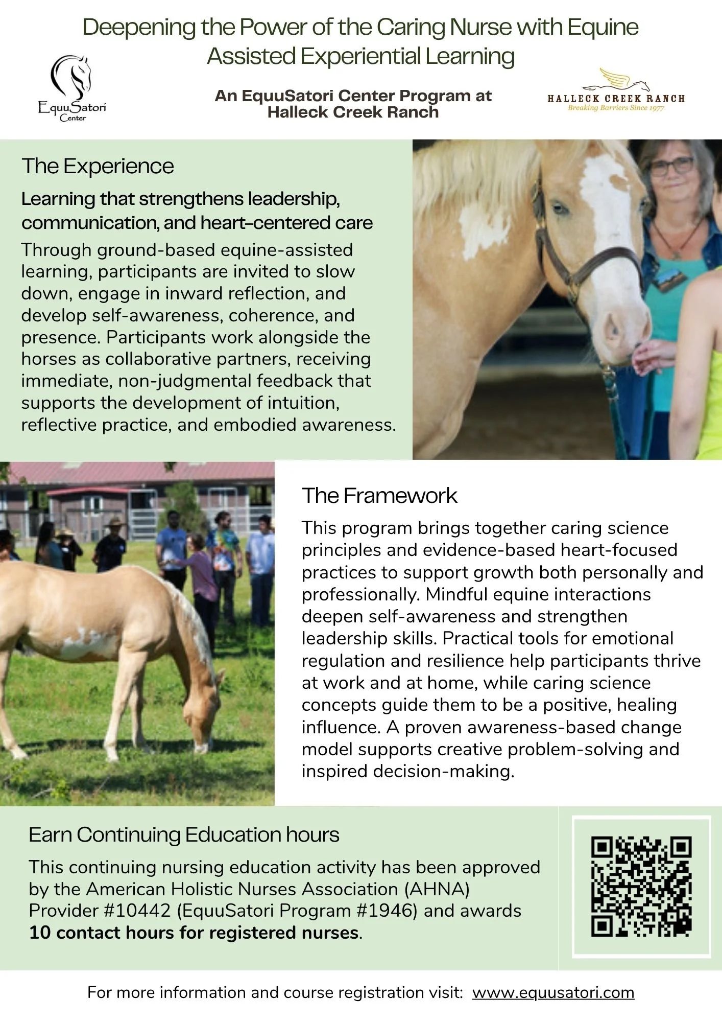 EquuSatori Flyer