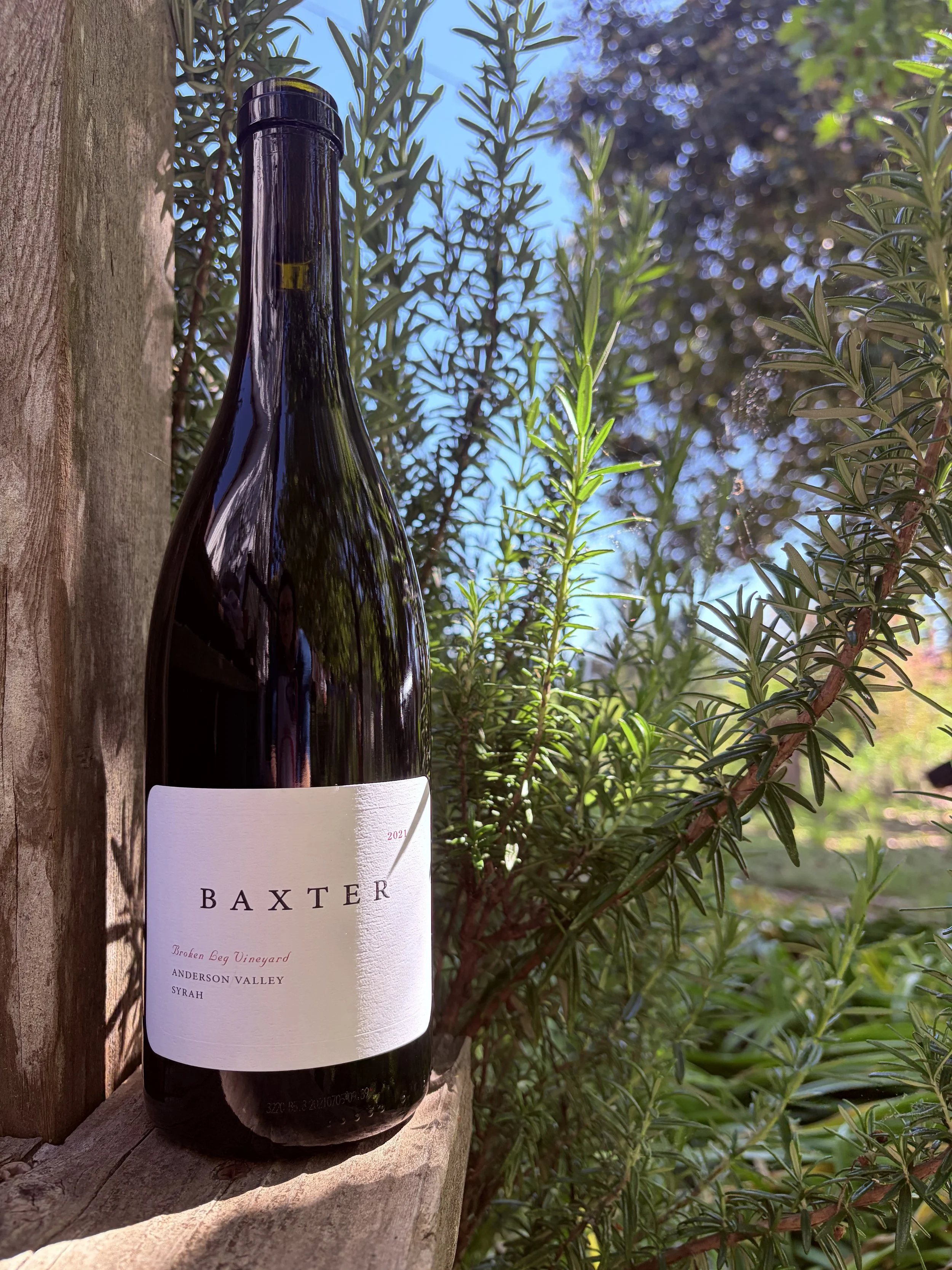 Baxter Syrah bottle with rosemary plant