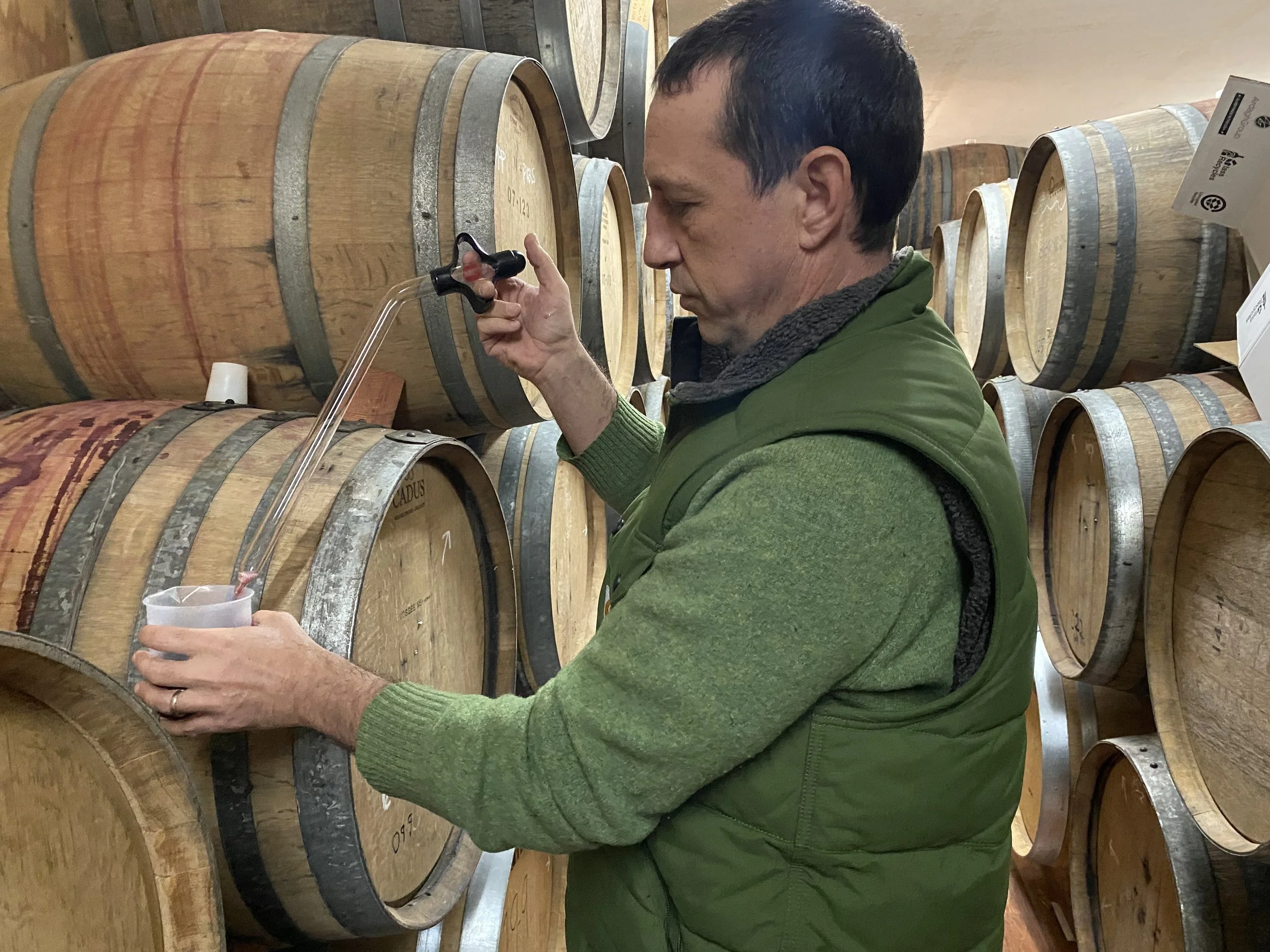 Winemaker Phillip barrel sampling cellar Spring 2025 -1.jpeg